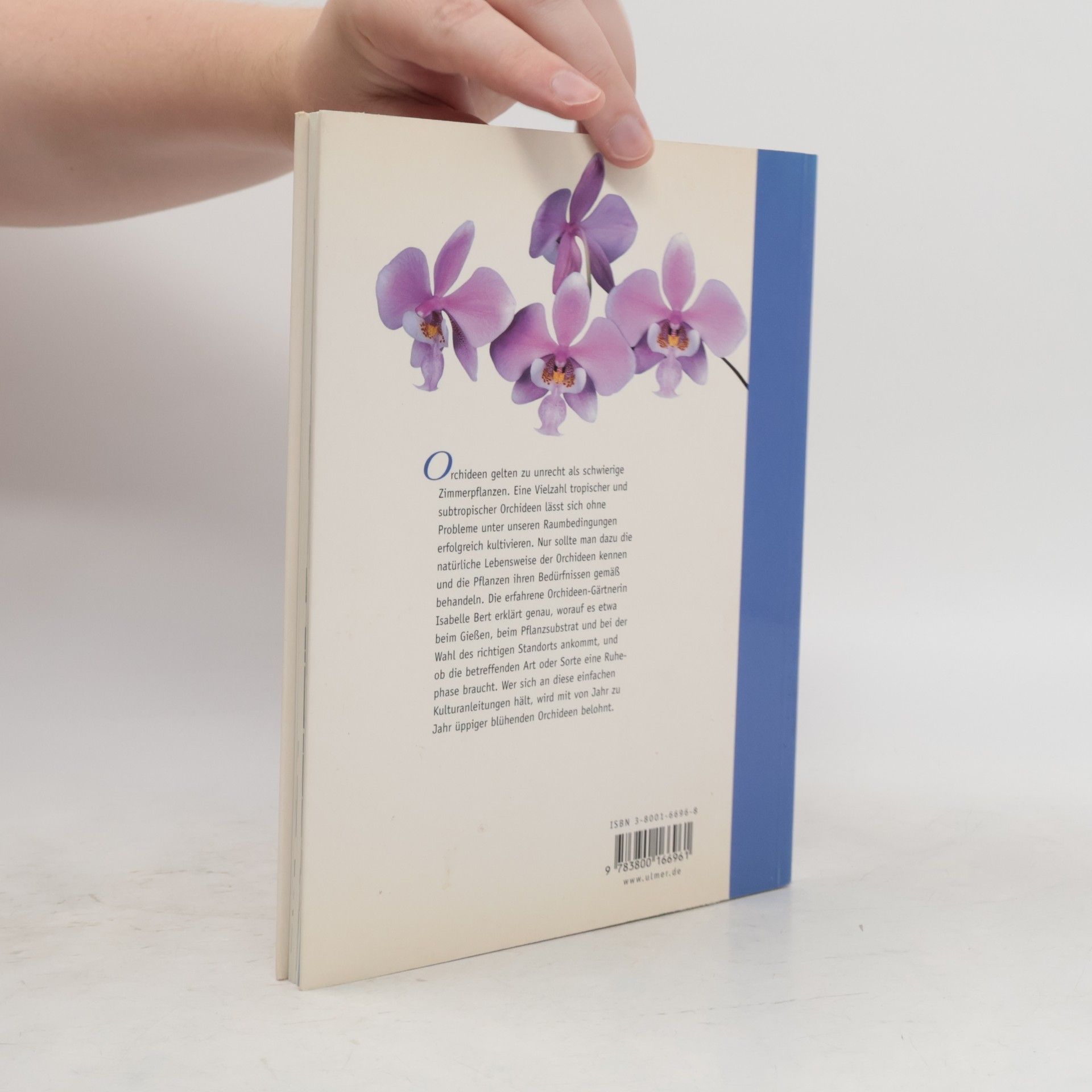 Isabelle Bertrand Orchideen