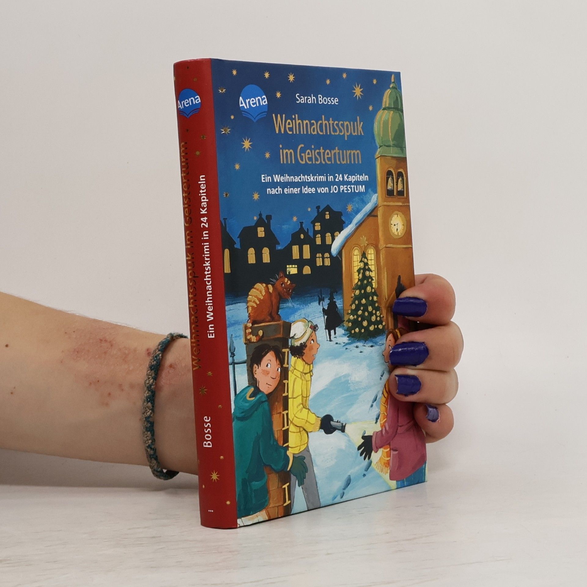 Sarah Bosse Weihnachtsspuk im Geisterturm