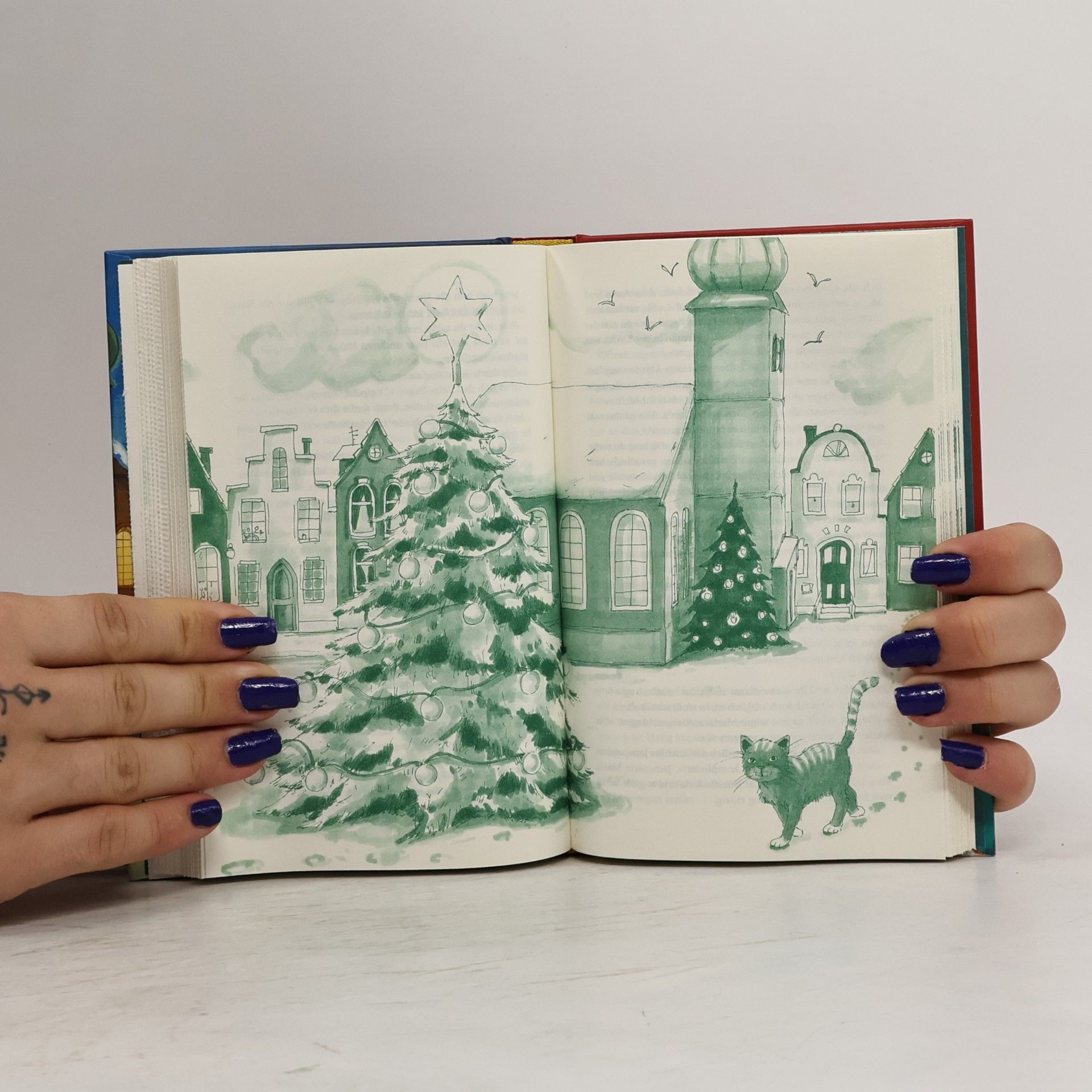 Sarah Bosse Weihnachtsspuk im Geisterturm