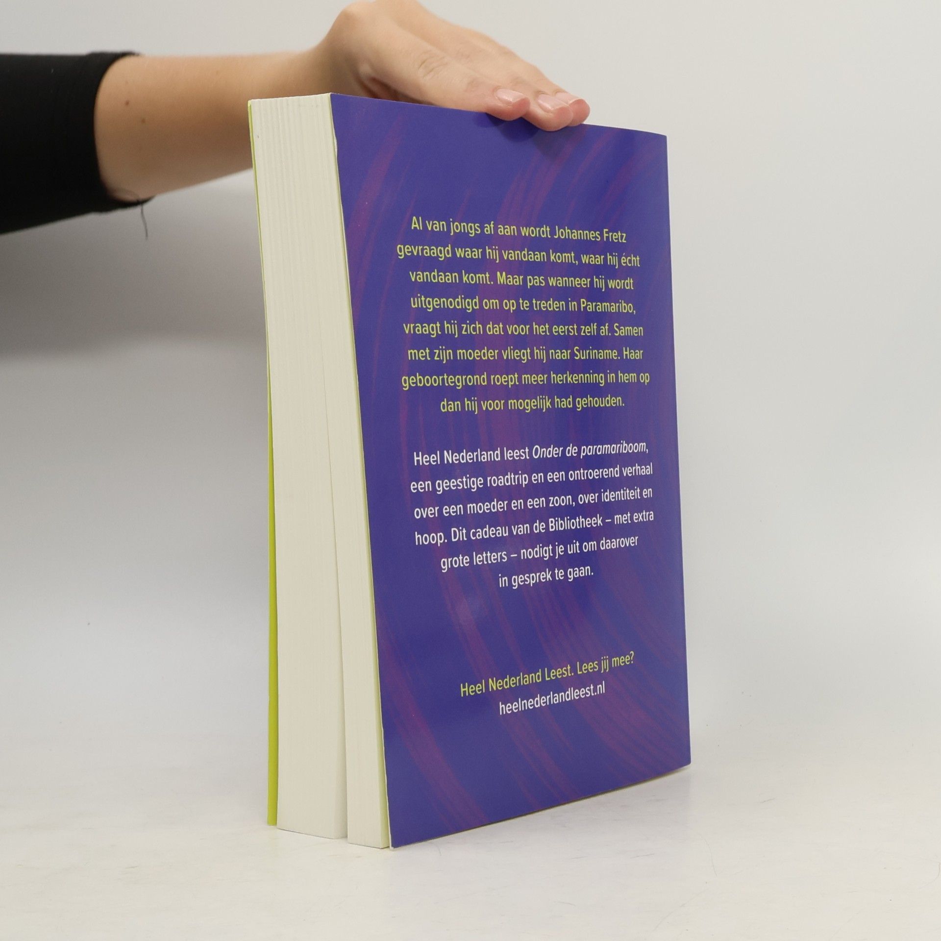 Johannes Danie͏̈l Christophorus Fretz Onder de paramariboom