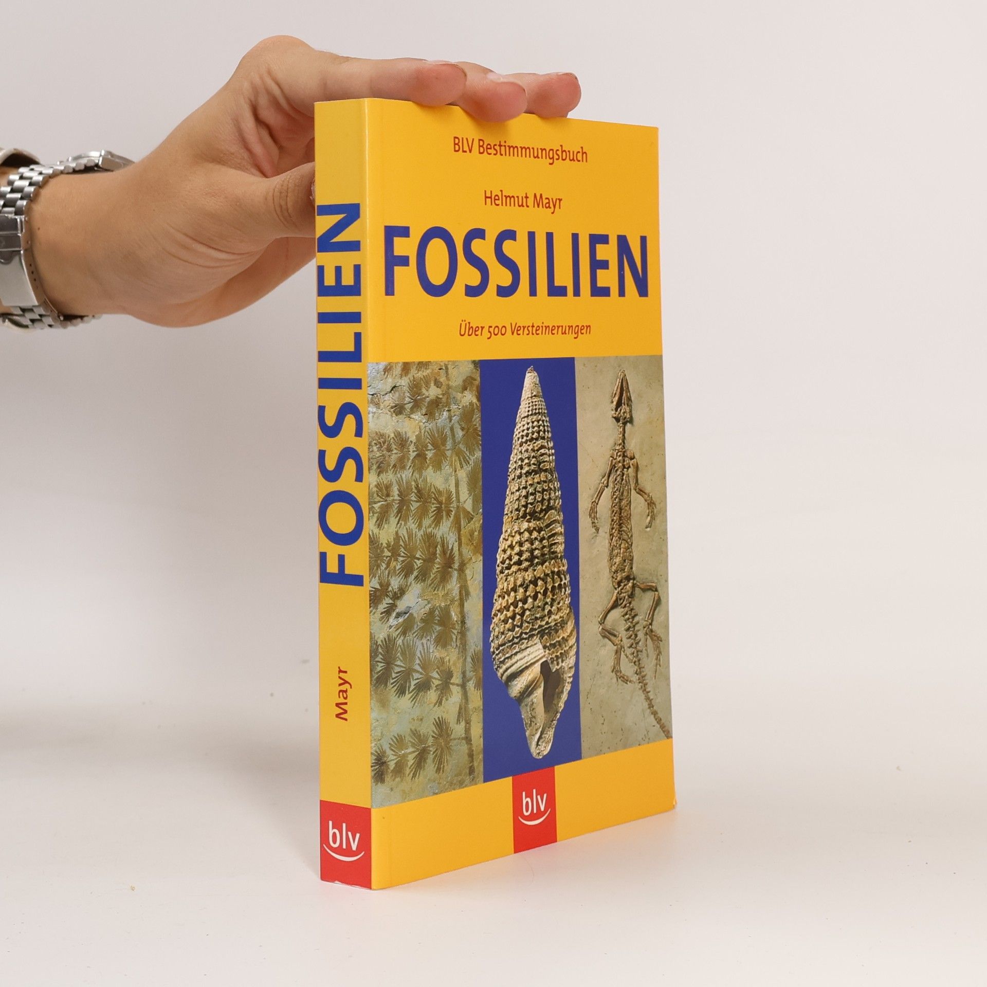 Helmut Mayr Fossilien