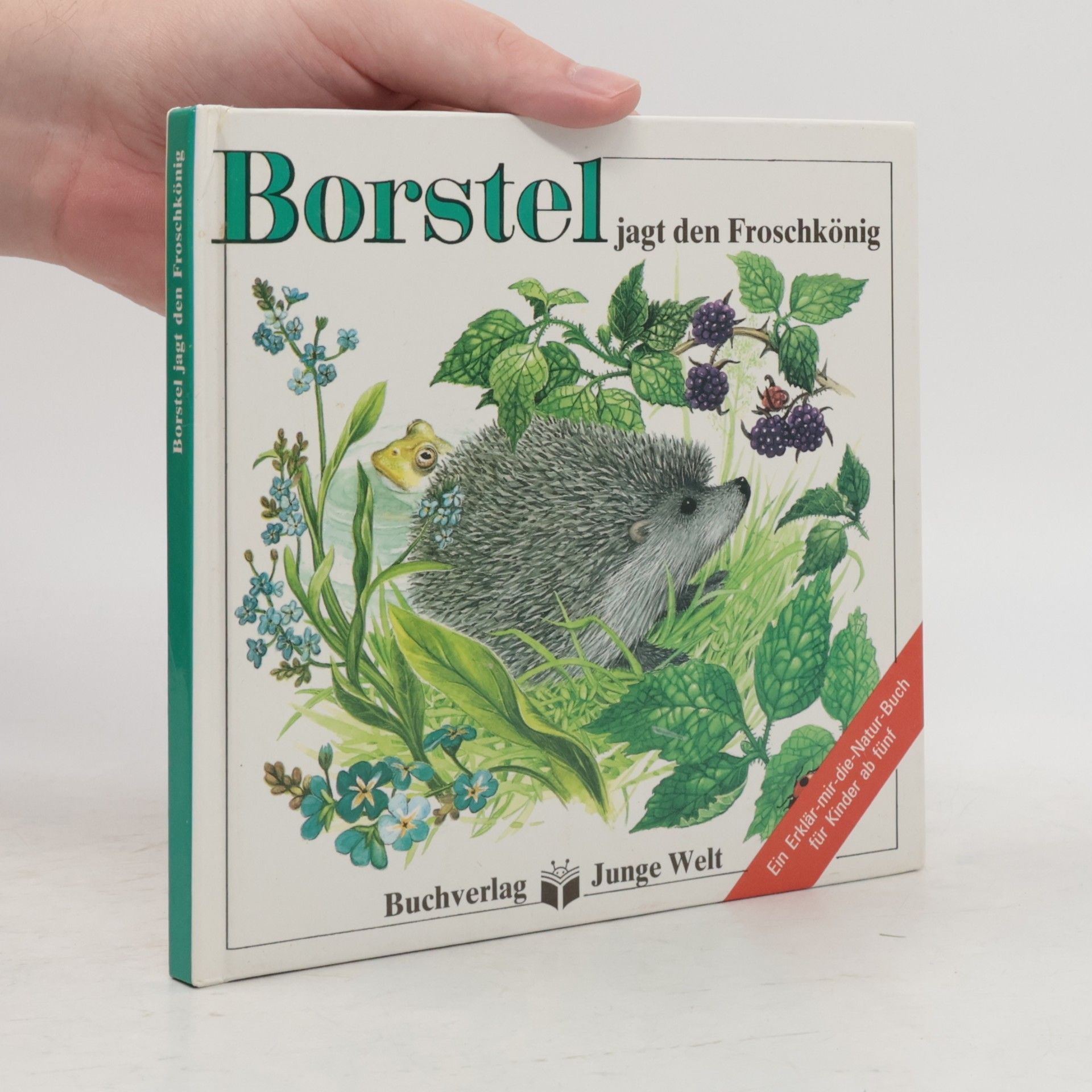 Kolektív autorov Borstel jagt den Froschkönig