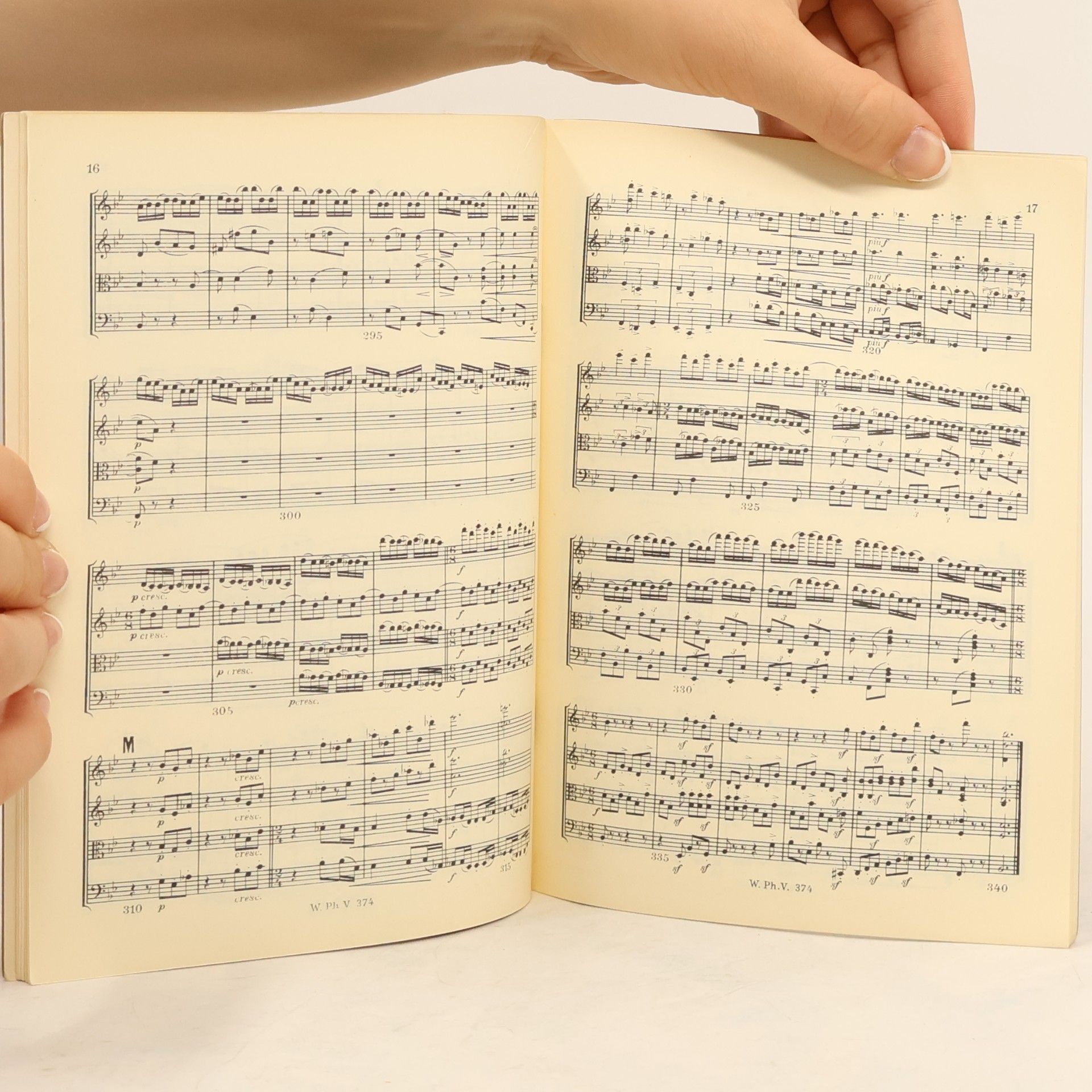 Kolektiv autorů Brahms Streichquartett
