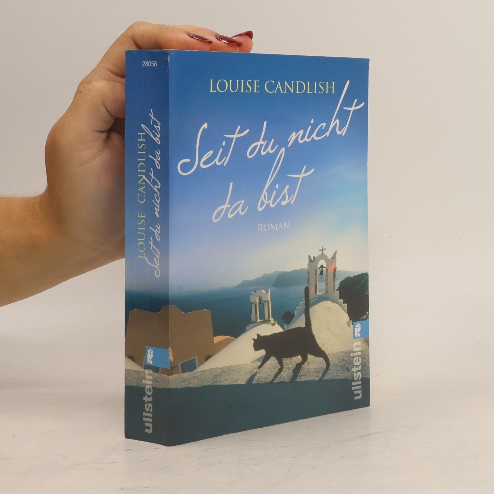 Louise Candlish Seit du nicht da bist
