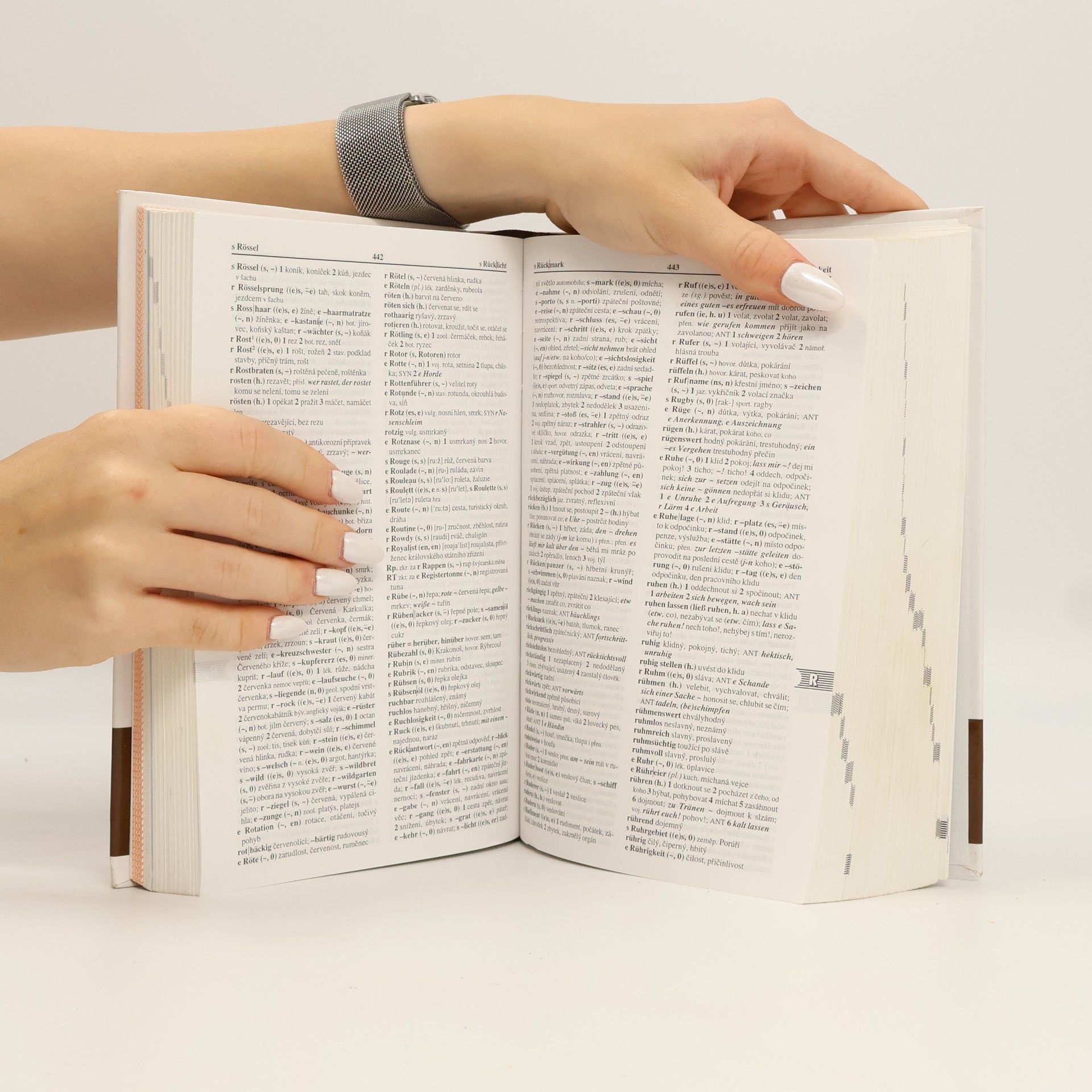 Autorenkollektiv Německo-český, česko-německý studijní slovník