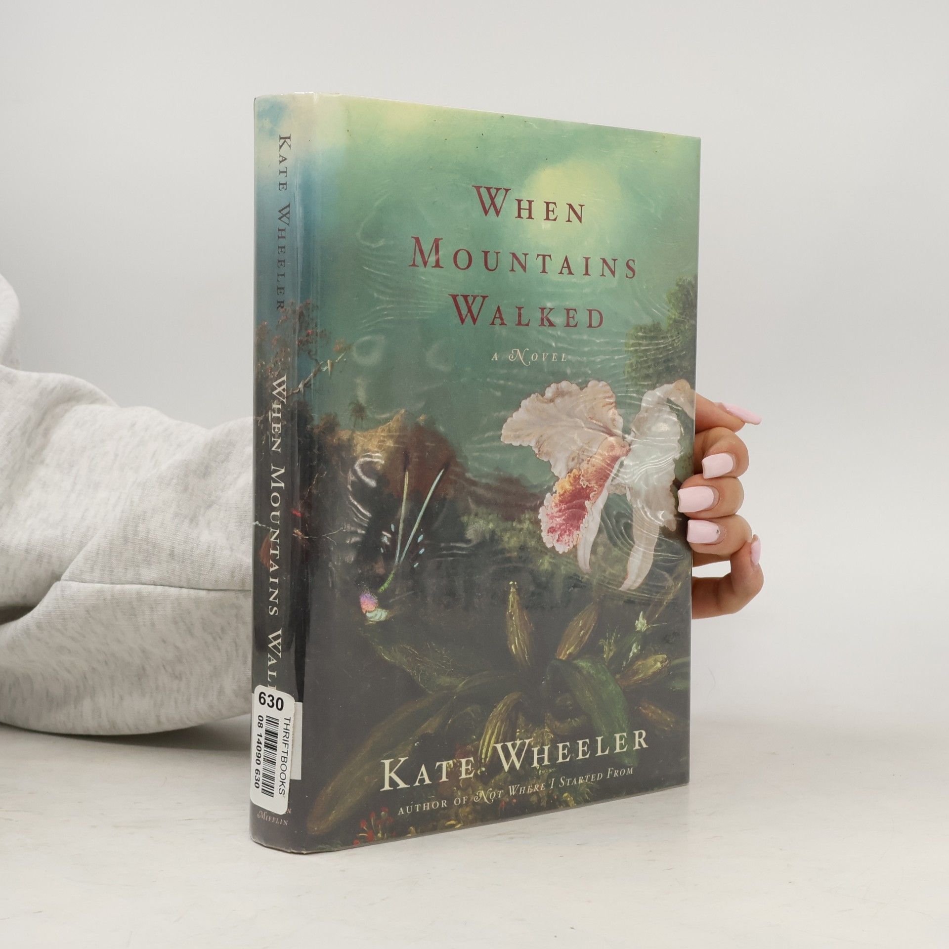 Kate Wheeler When Mountains Walked