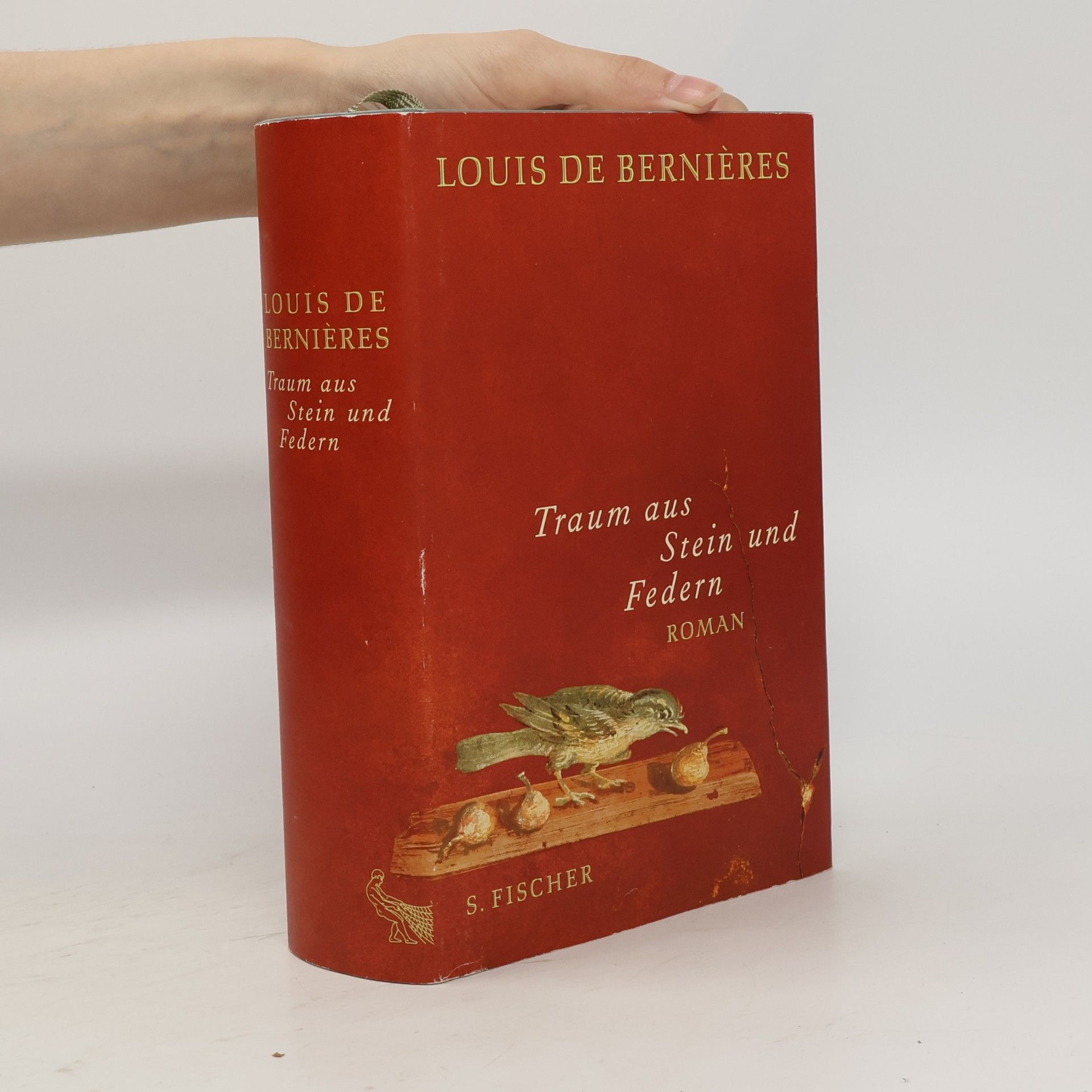 Louis de Bernières Traum aus Stein und Federn