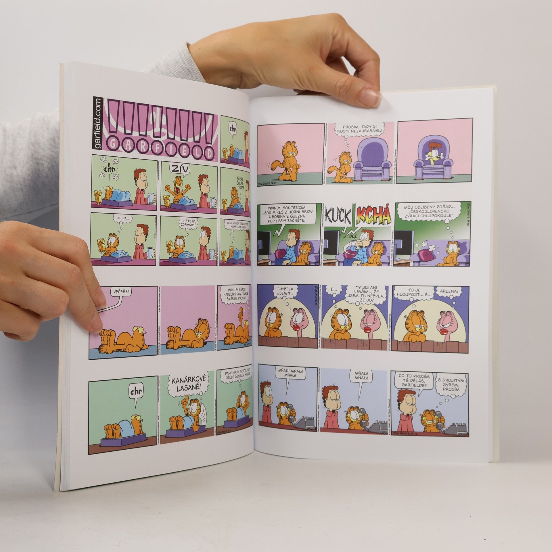 Jim Davis Garfield Garfield dostává do tlamy (č. 62)