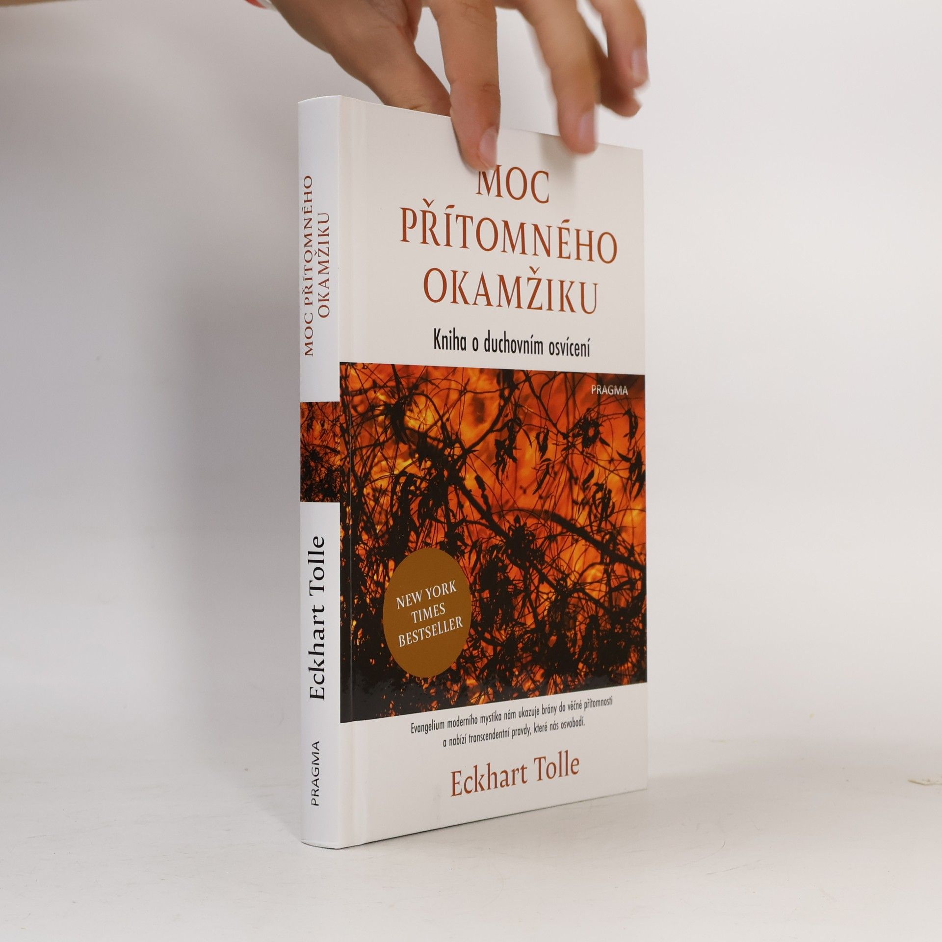 Eckhart Tolle Moc přítomného okamžiku