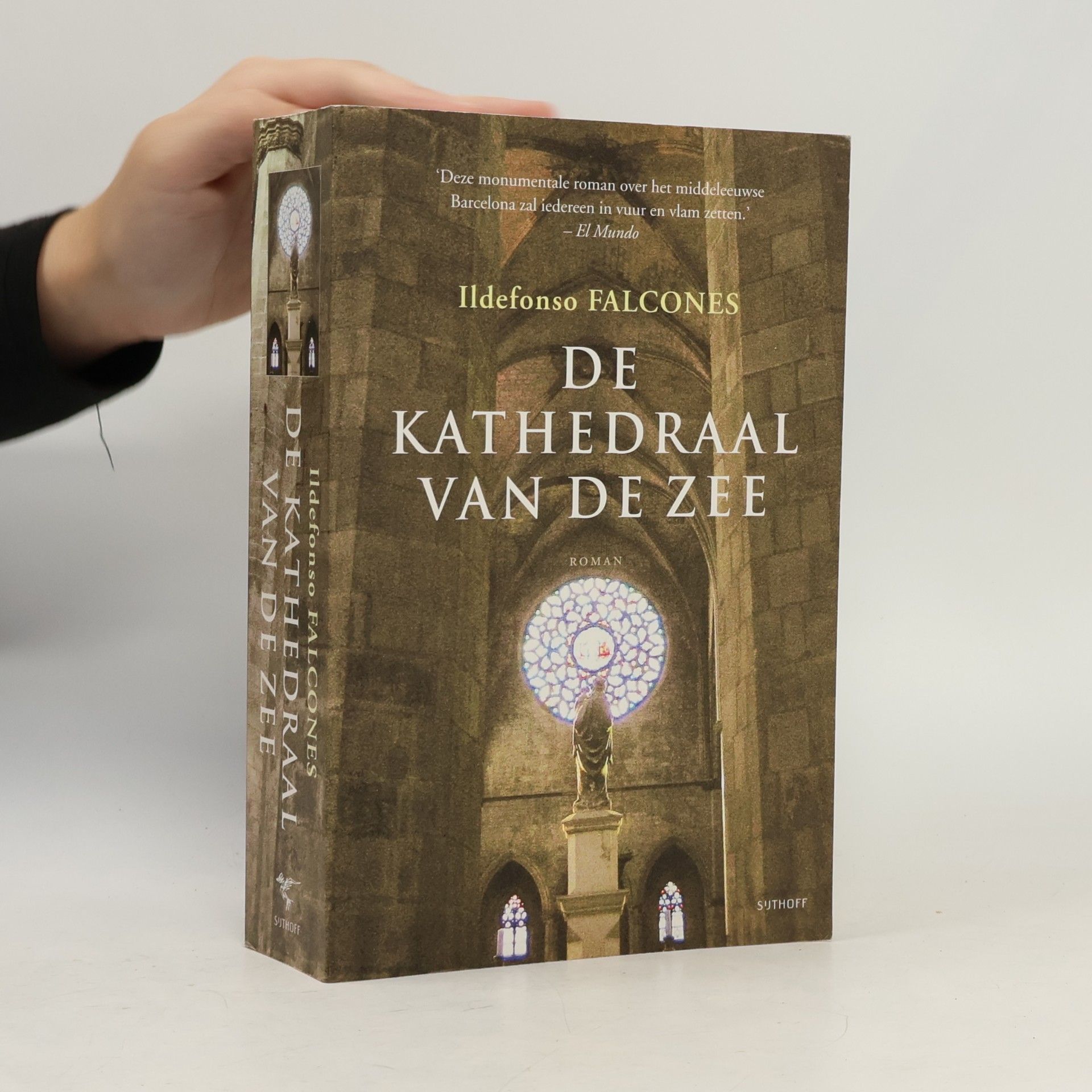 Ildefonso Falcones De kathedraal van de zee