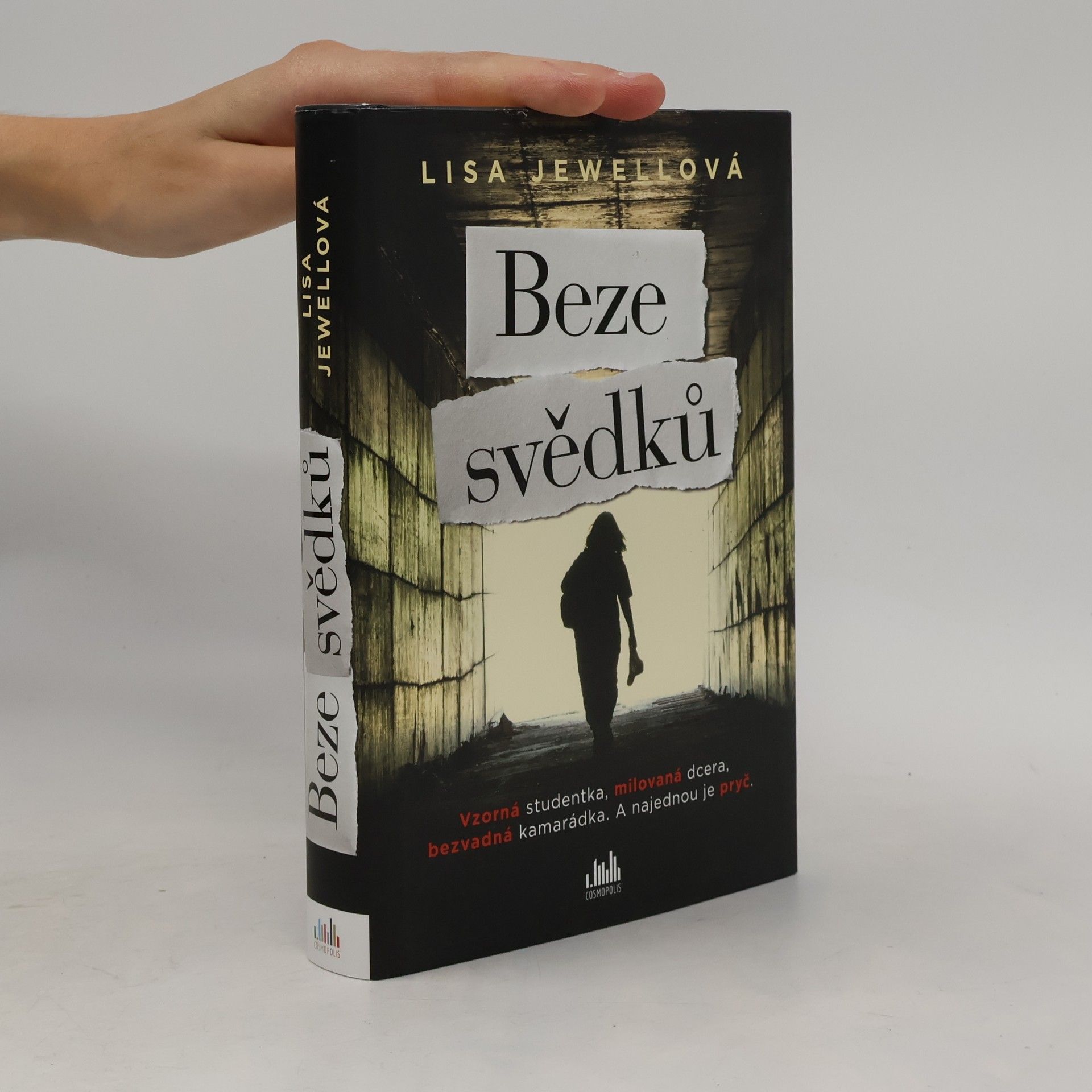 Lisa Jewell Beze svědků