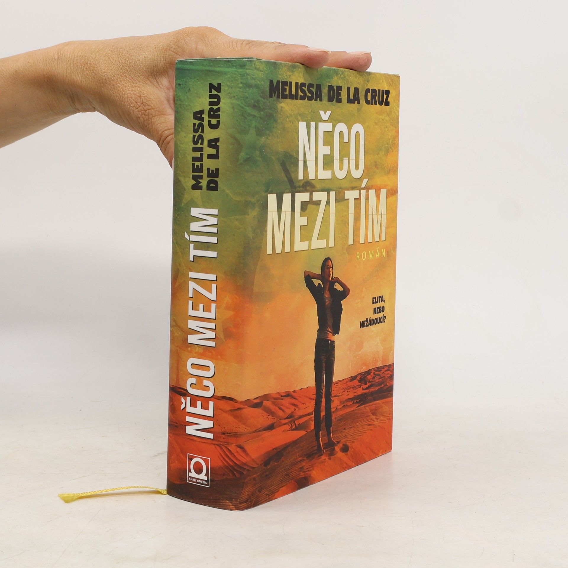 Melissa De la Cruz Něco mezi tím