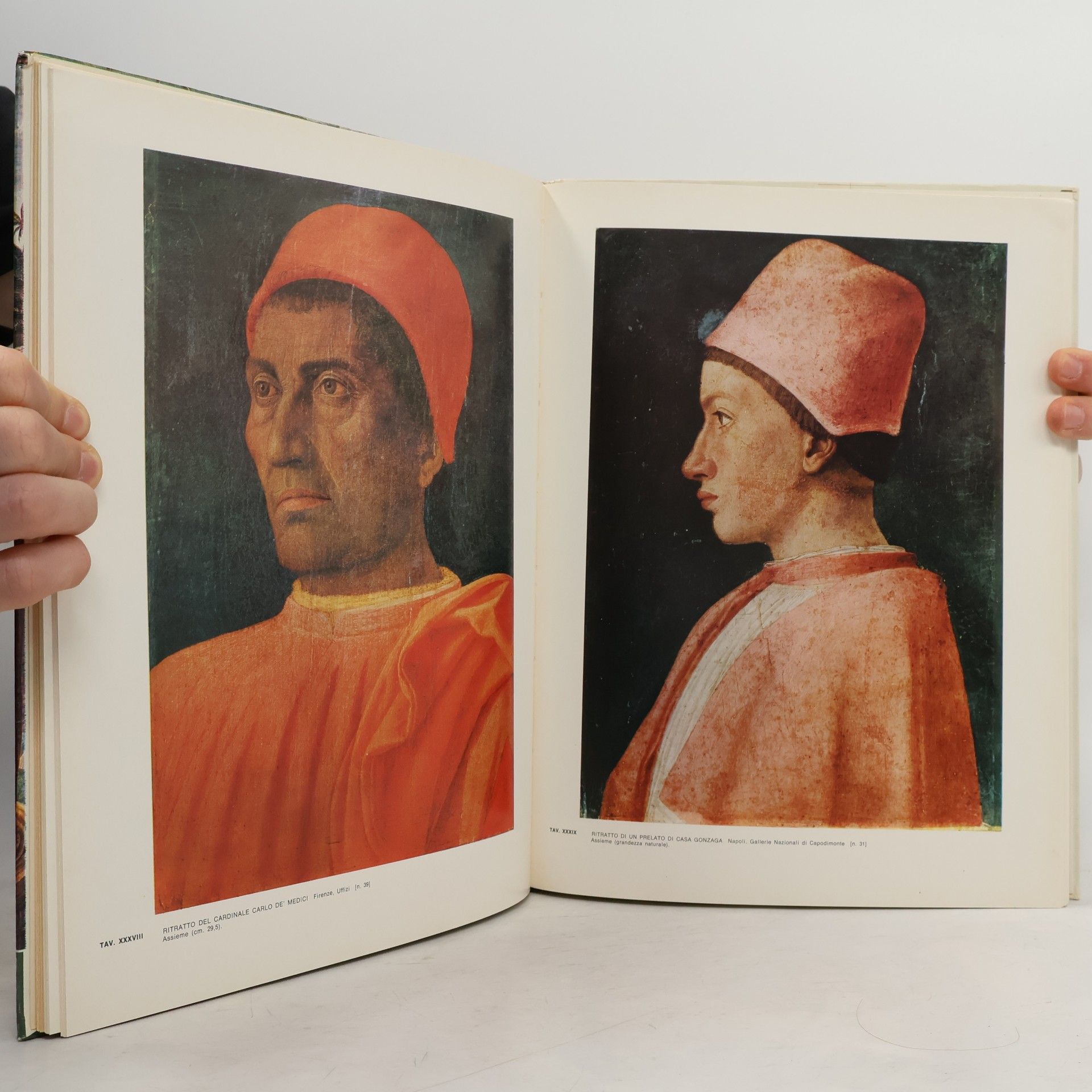 Maria Bellonci L'opera completa del Mantegna