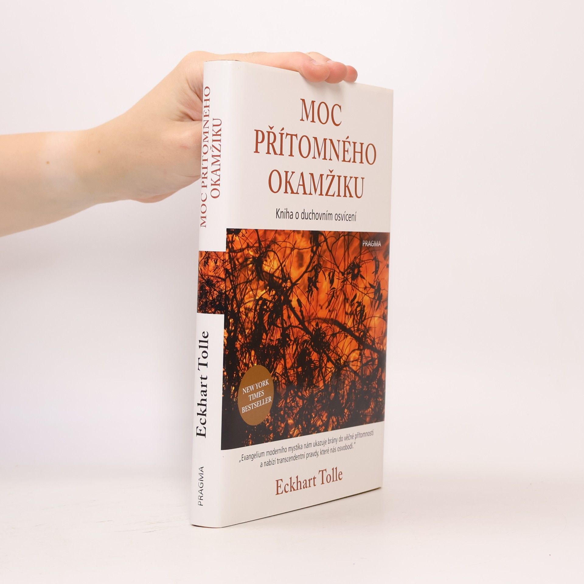 Eckhart Tolle Moc přítomného okamžiku