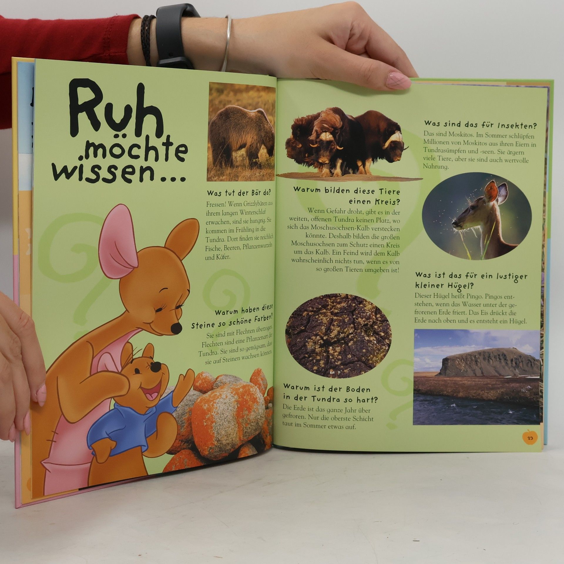 Autorenkollektiv Mein Erstes Buch der Tundra.