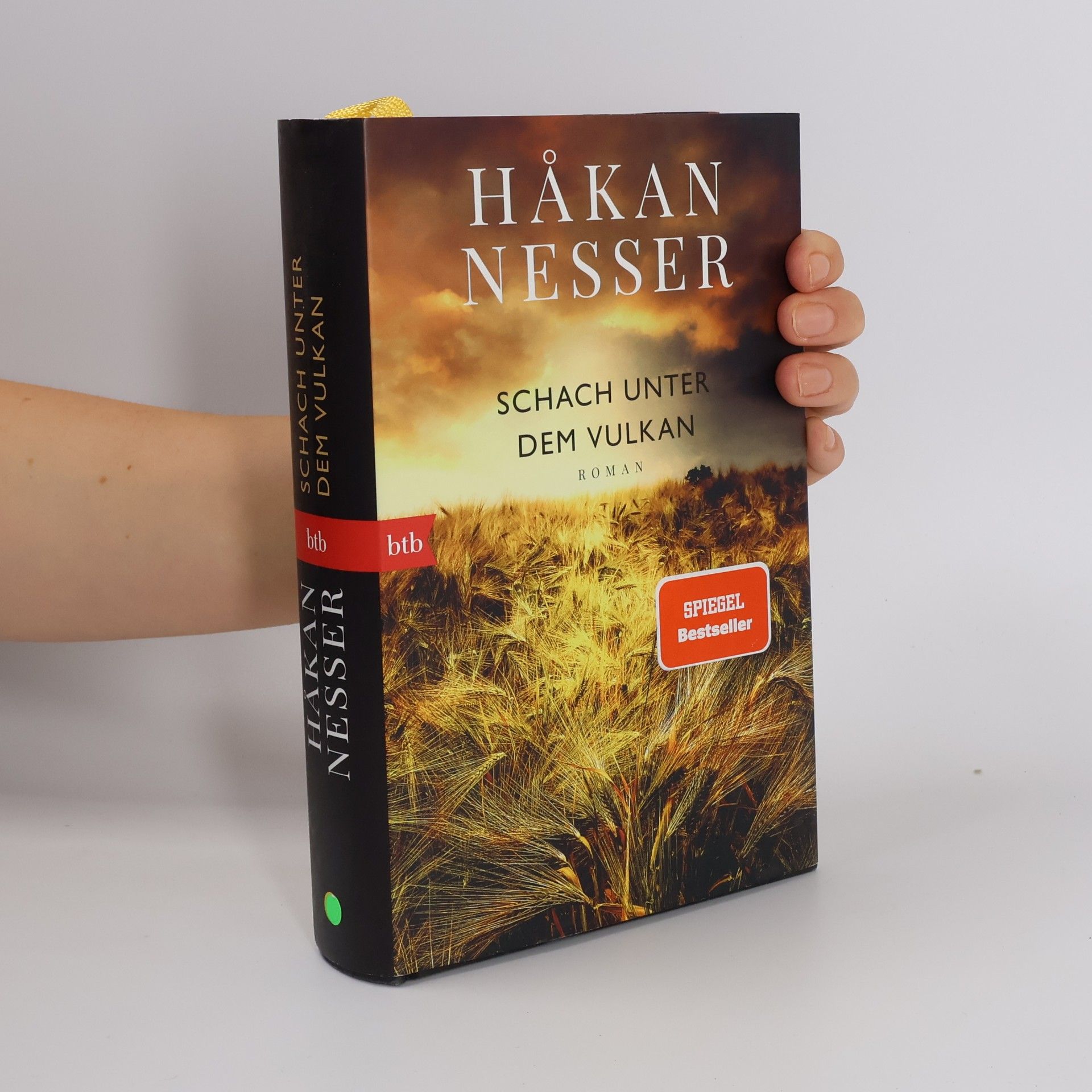 Hakan Nesser Schach unter dem Vulkan