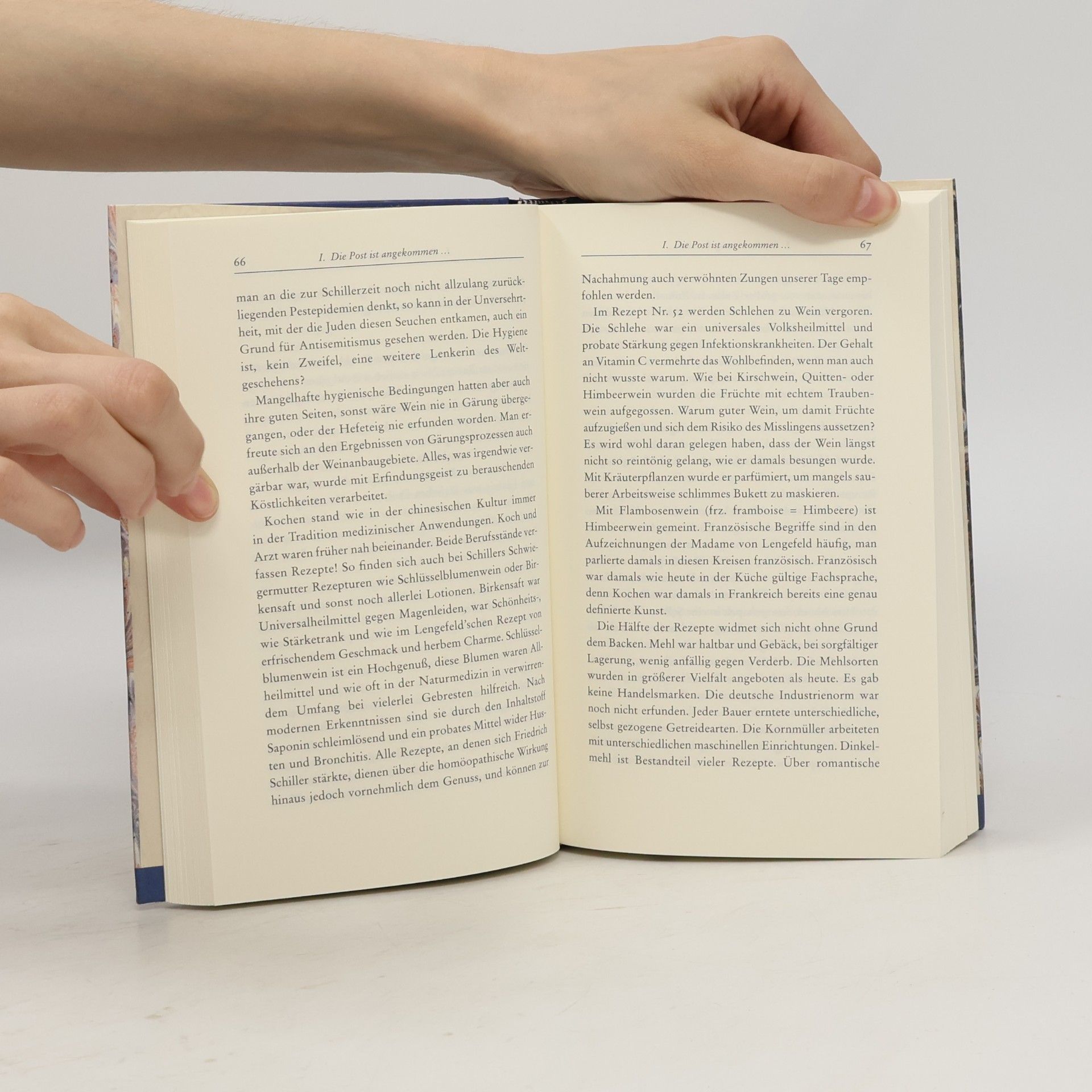 Uwe Zellmer Mein lieber Schiller!. Ein leicht schräges Lesebuch