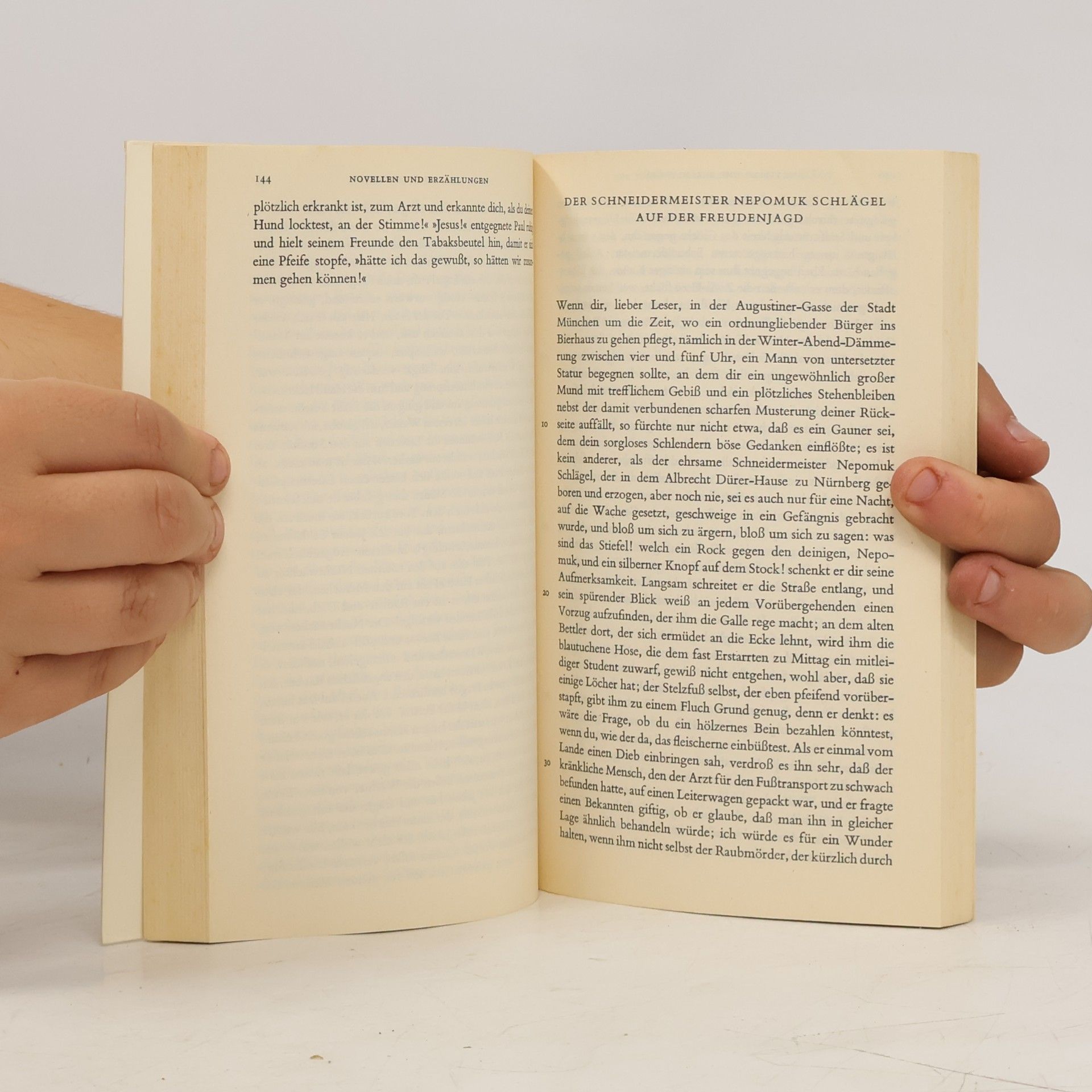 Christian Friedrich Hebbel Das erzählerische Werk