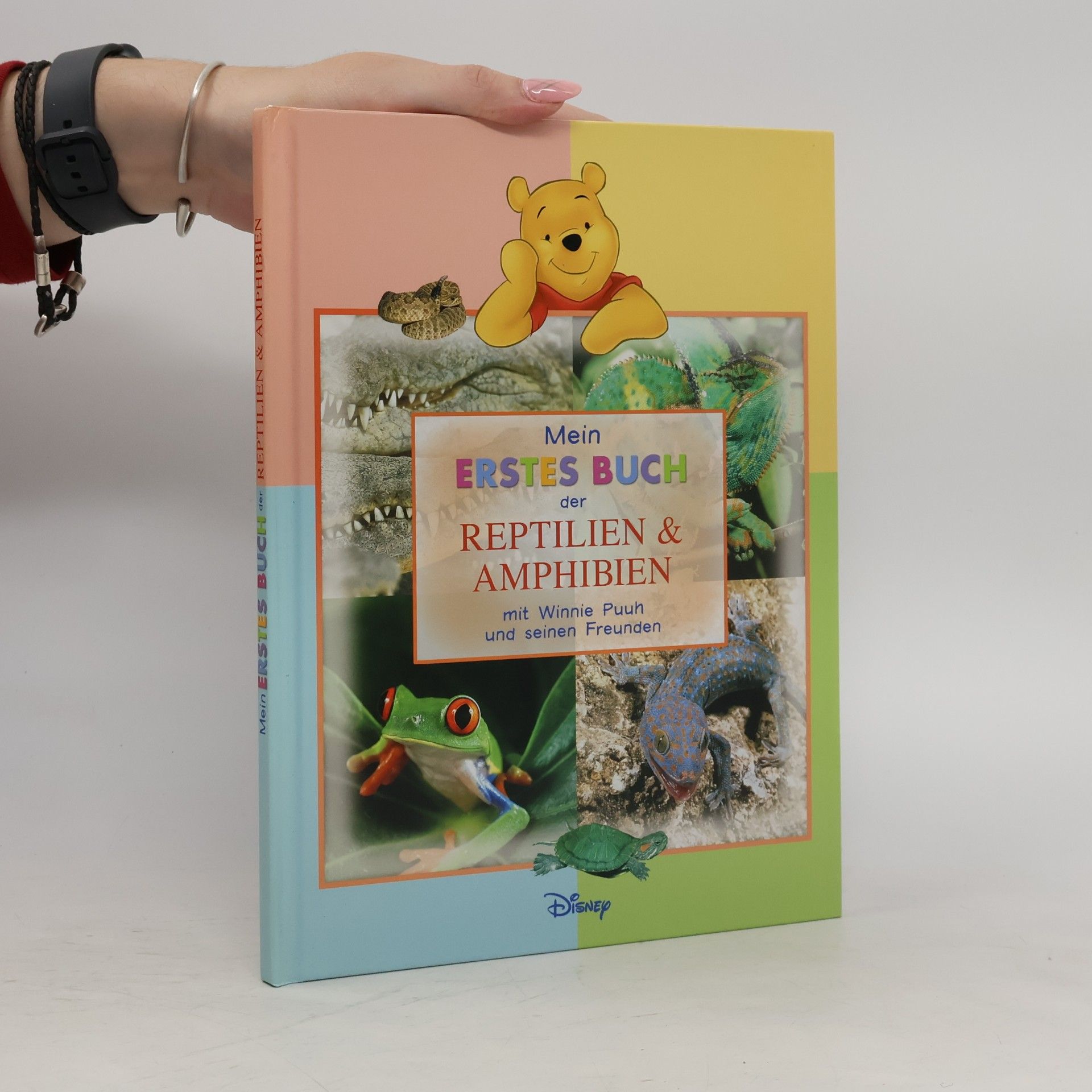 Autorenkollektiv Mein Erstes Buch der Reptilien und Amphibien.