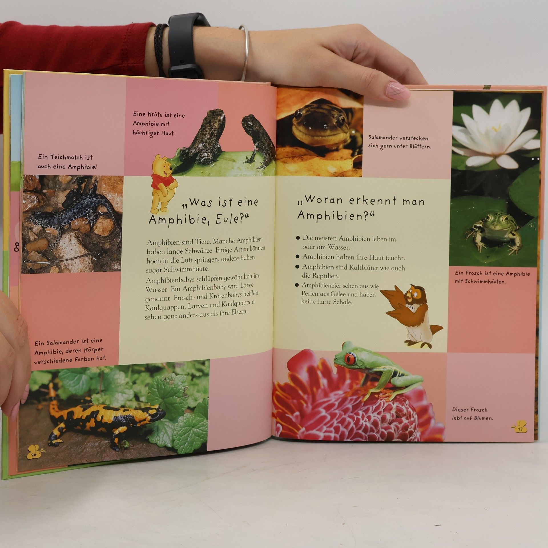 Autorenkollektiv Mein Erstes Buch der Reptilien und Amphibien.