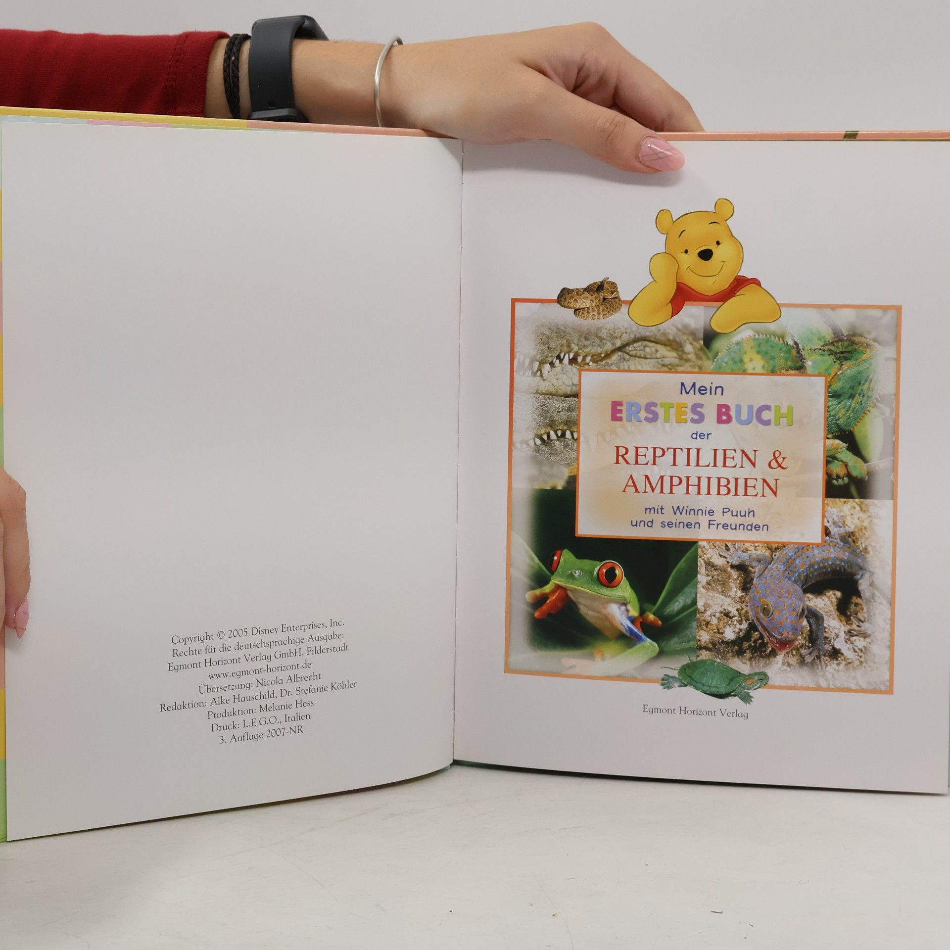 Autorenkollektiv Mein Erstes Buch der Reptilien und Amphibien.