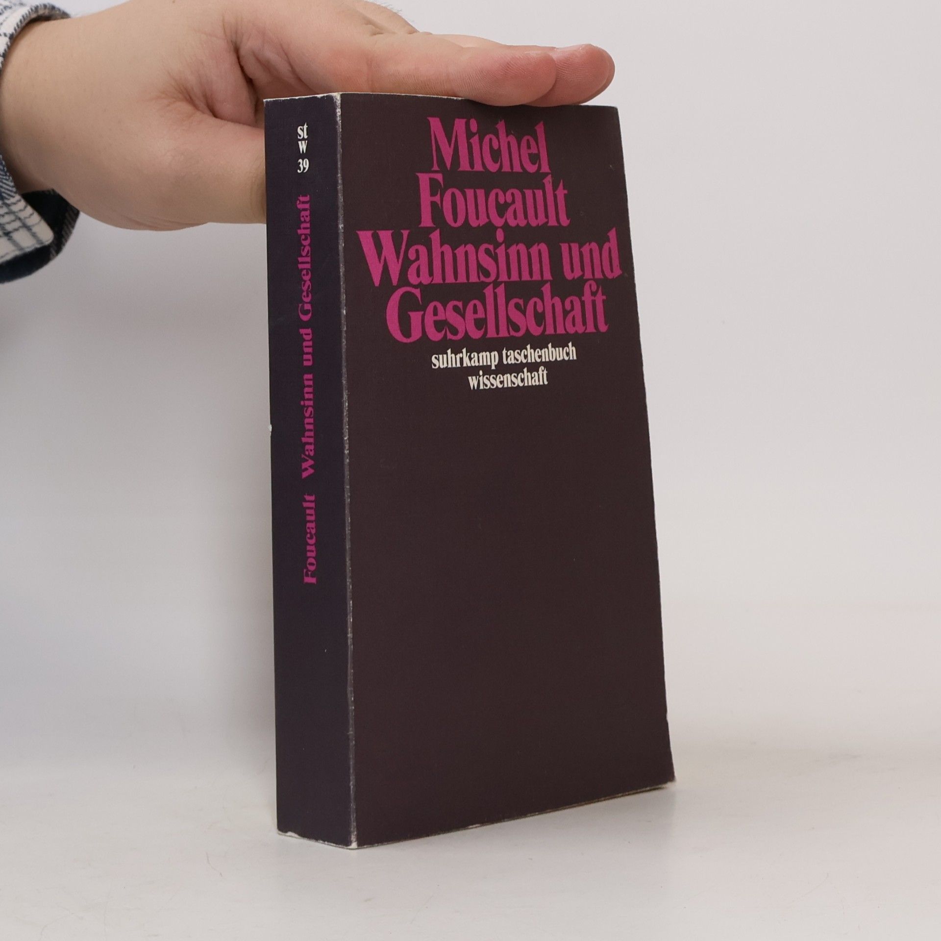 Michel Foucault Wahnsinn und Gesellschaft
