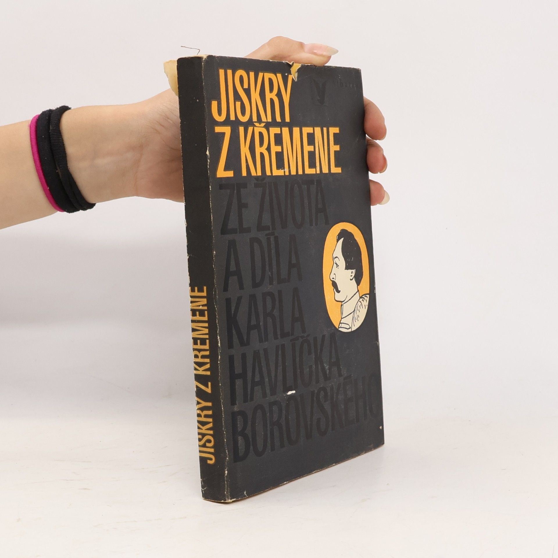 Josef Lada Jiskry z křemene. Ze života a díla Karla Havlíčka Borovského.