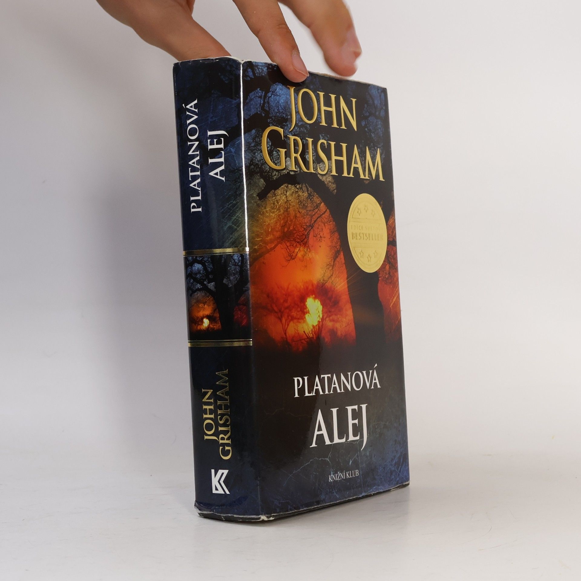 John Grisham Platanová alej