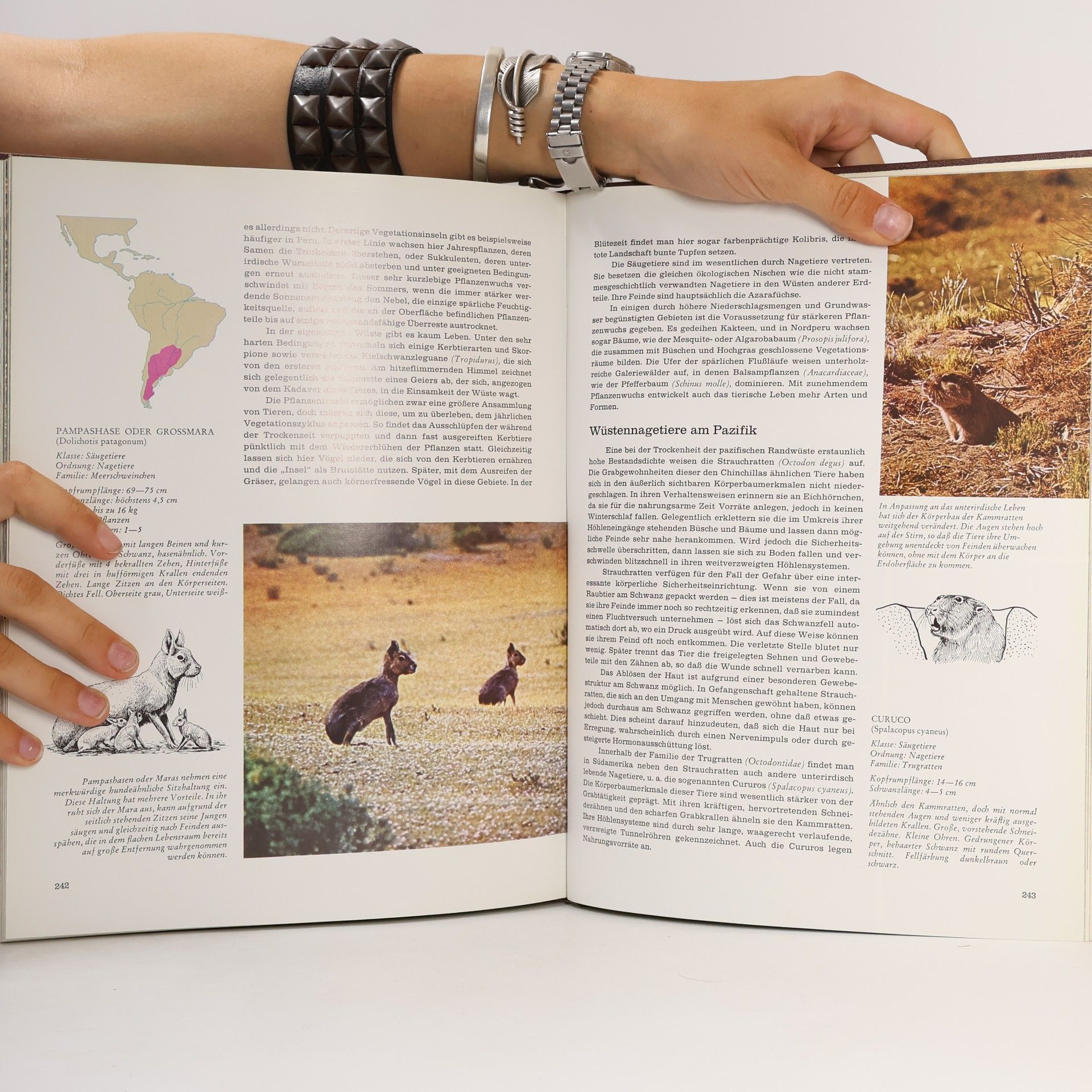 Autorenkollektiv Fauna. Das große Buch über das Leben der Tiere. Band 8 Südamerika