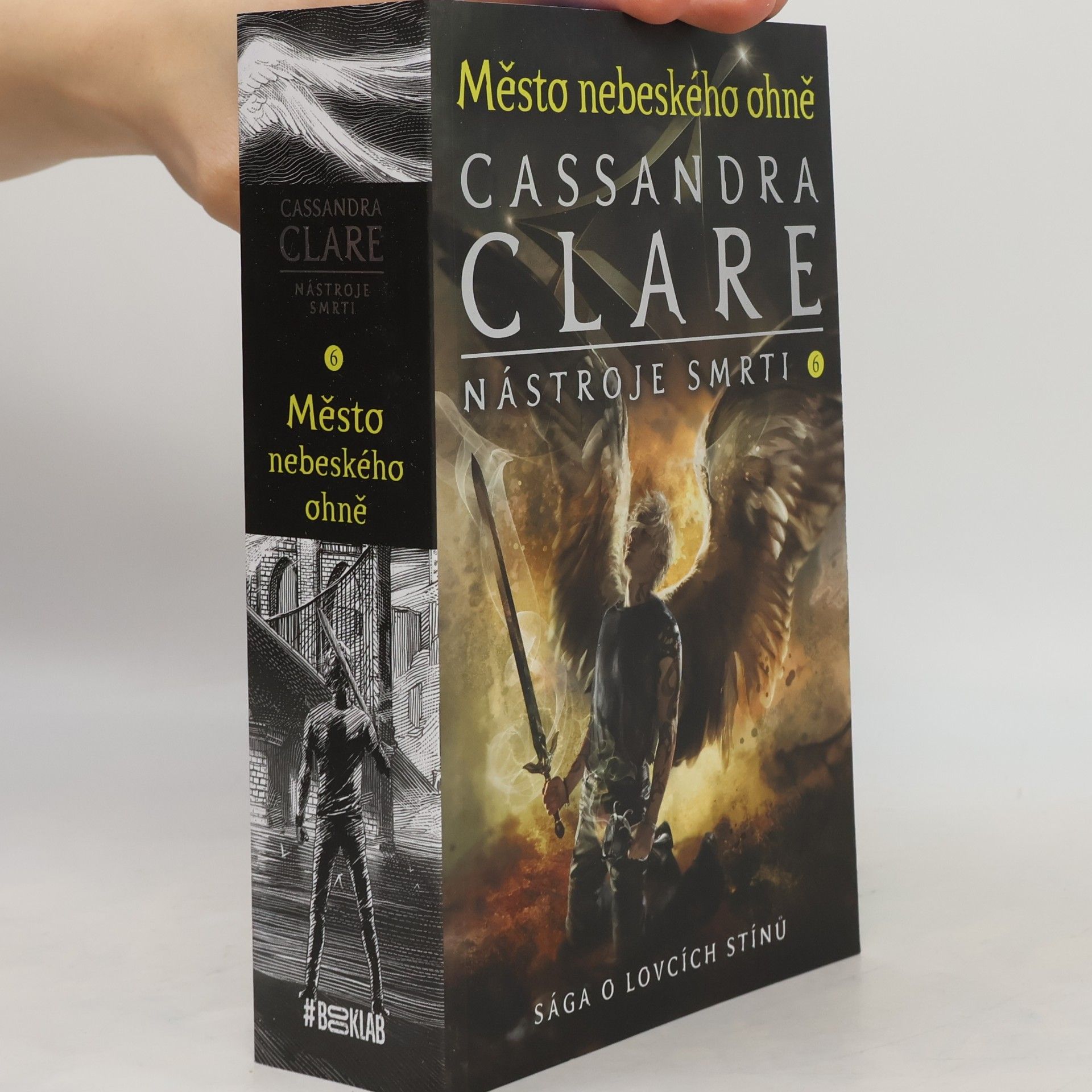 Cassandra Clare Nástroje smrti 6: Město nebeského ohně
