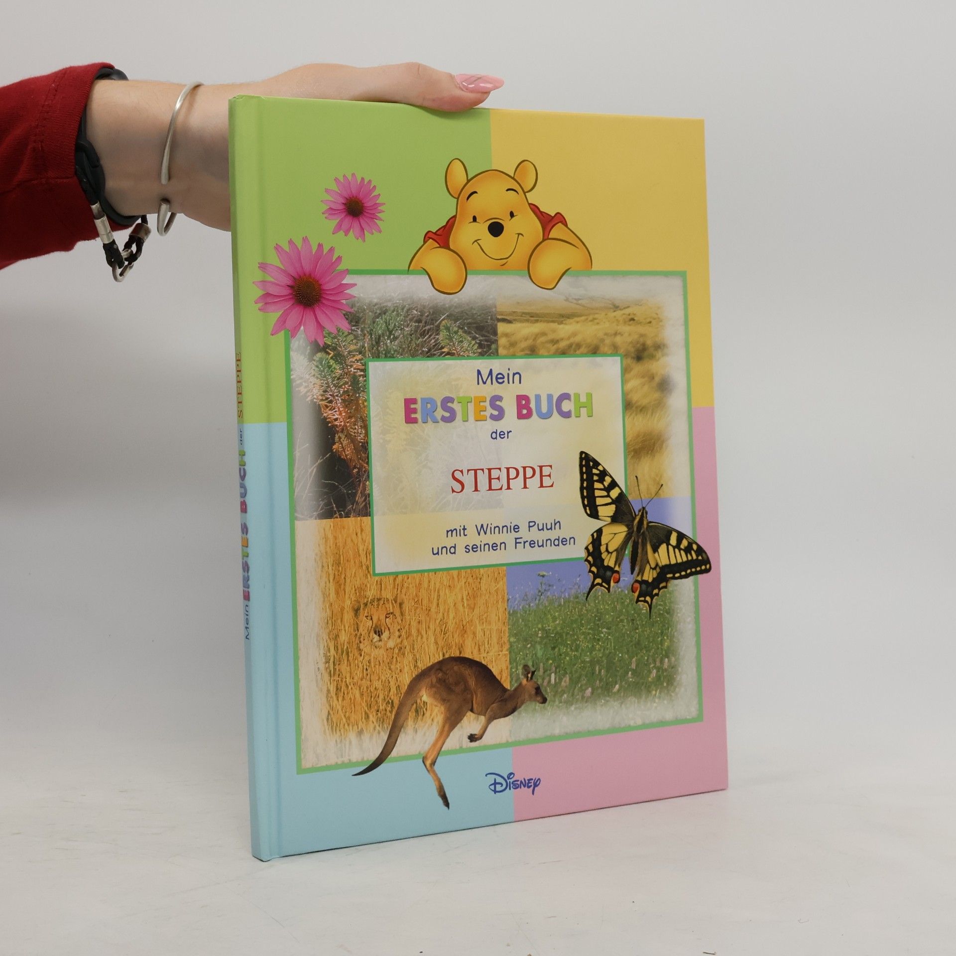Various authors Mein Erstes Buch der Meerestiere. Mit Winnie Puuh und seinen Freunden