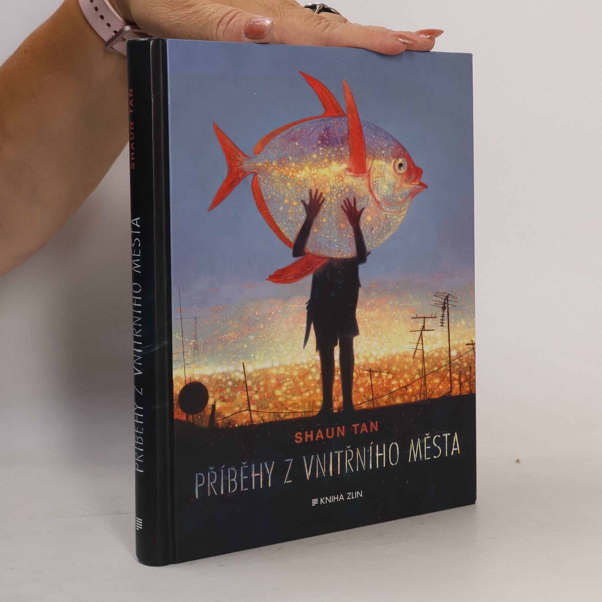 Shaun Tan Příběhy z vnitřního města