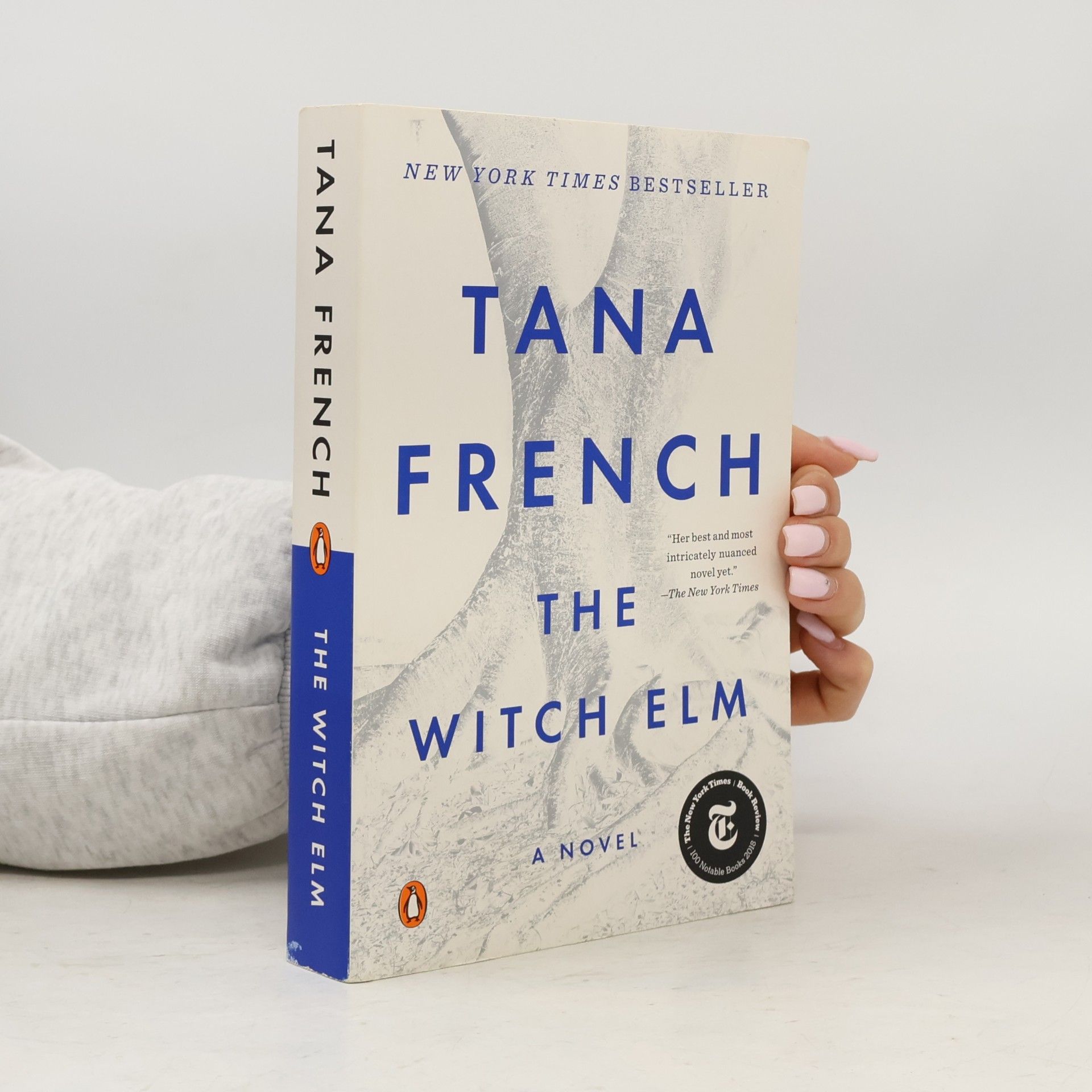 Tana French The Witch Elm