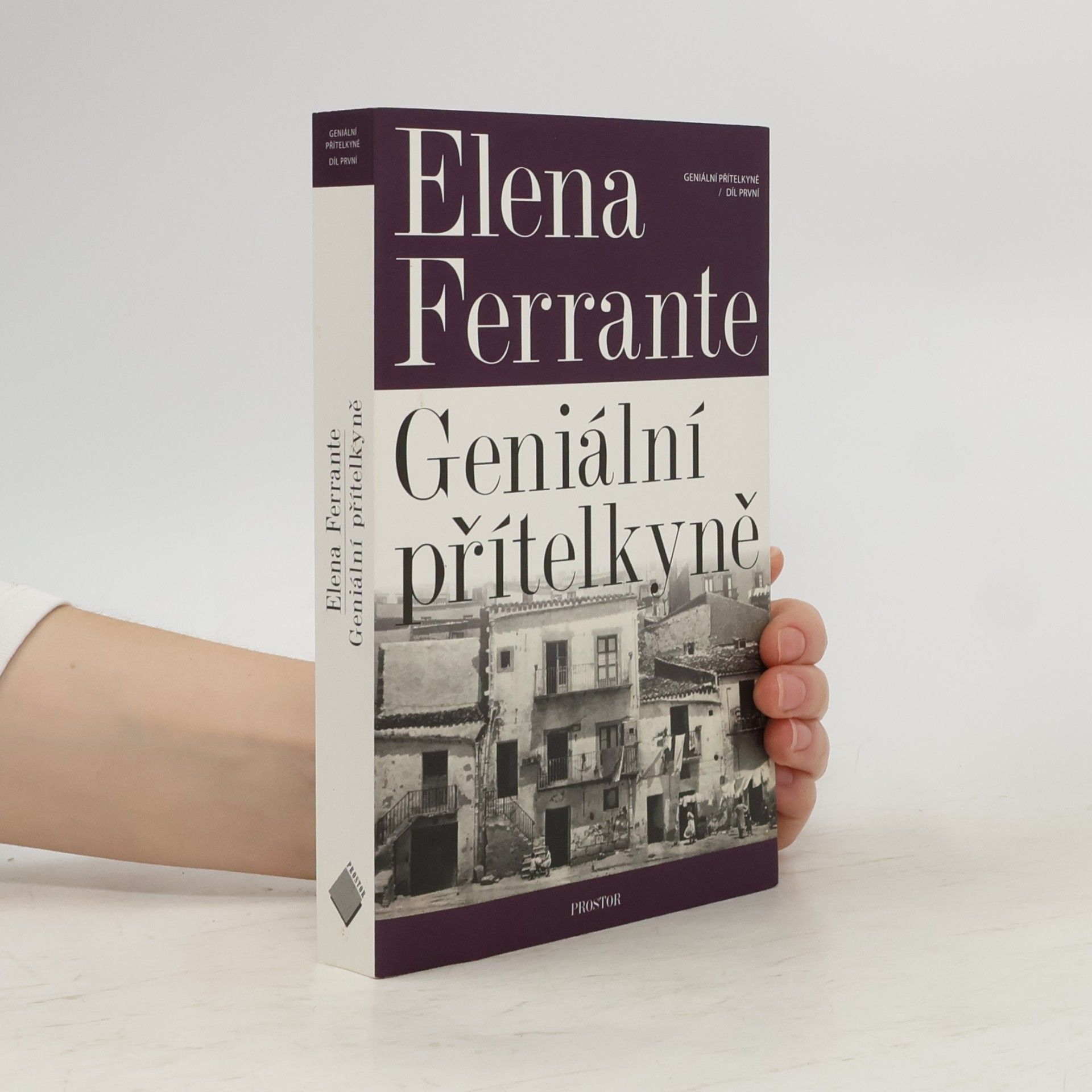 Elena Ferrante Geniální přítelkyně 1. Dětství a dospívání