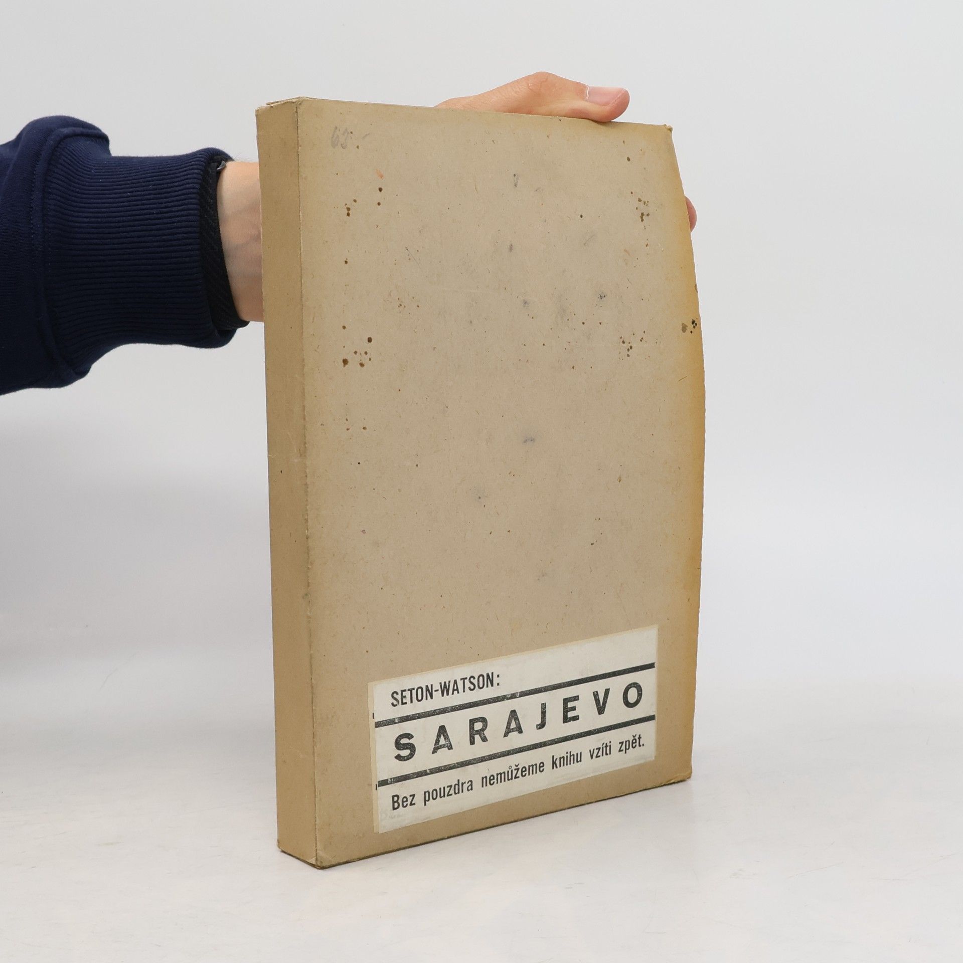 R. W. Seton Watson Sarajevo. Studie o vzniku veliké války