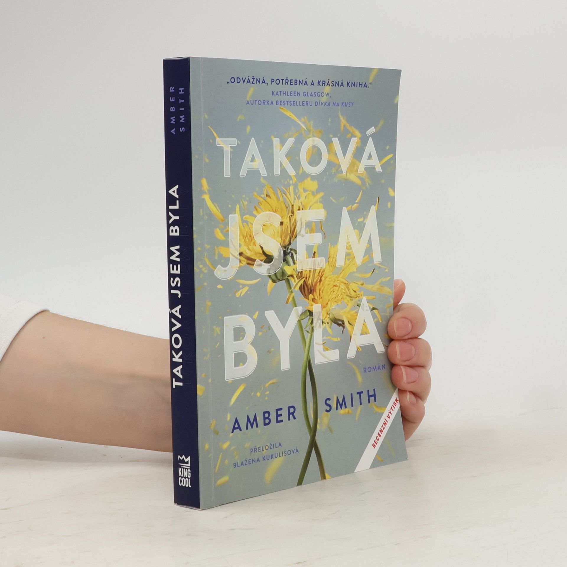 Amber Smith Taková jsem byla