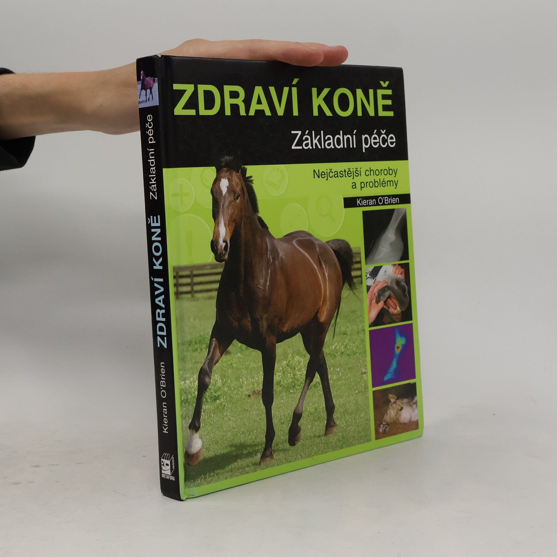 Zdraví koně