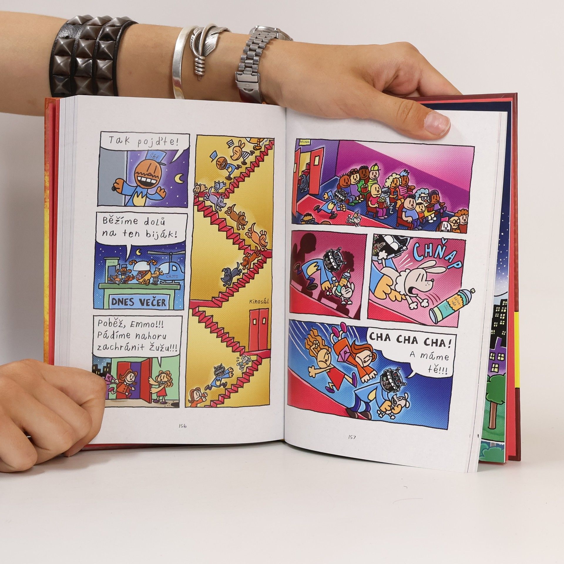 Dav Pilkey Dogman : volání kočičiny