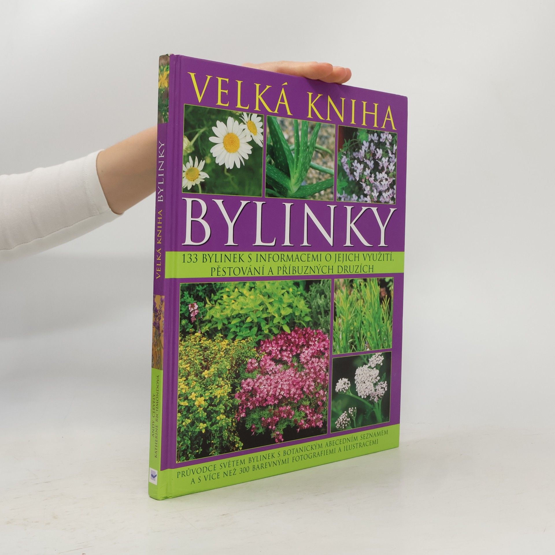 Katherine Richmond Bylinky. Velká kniha