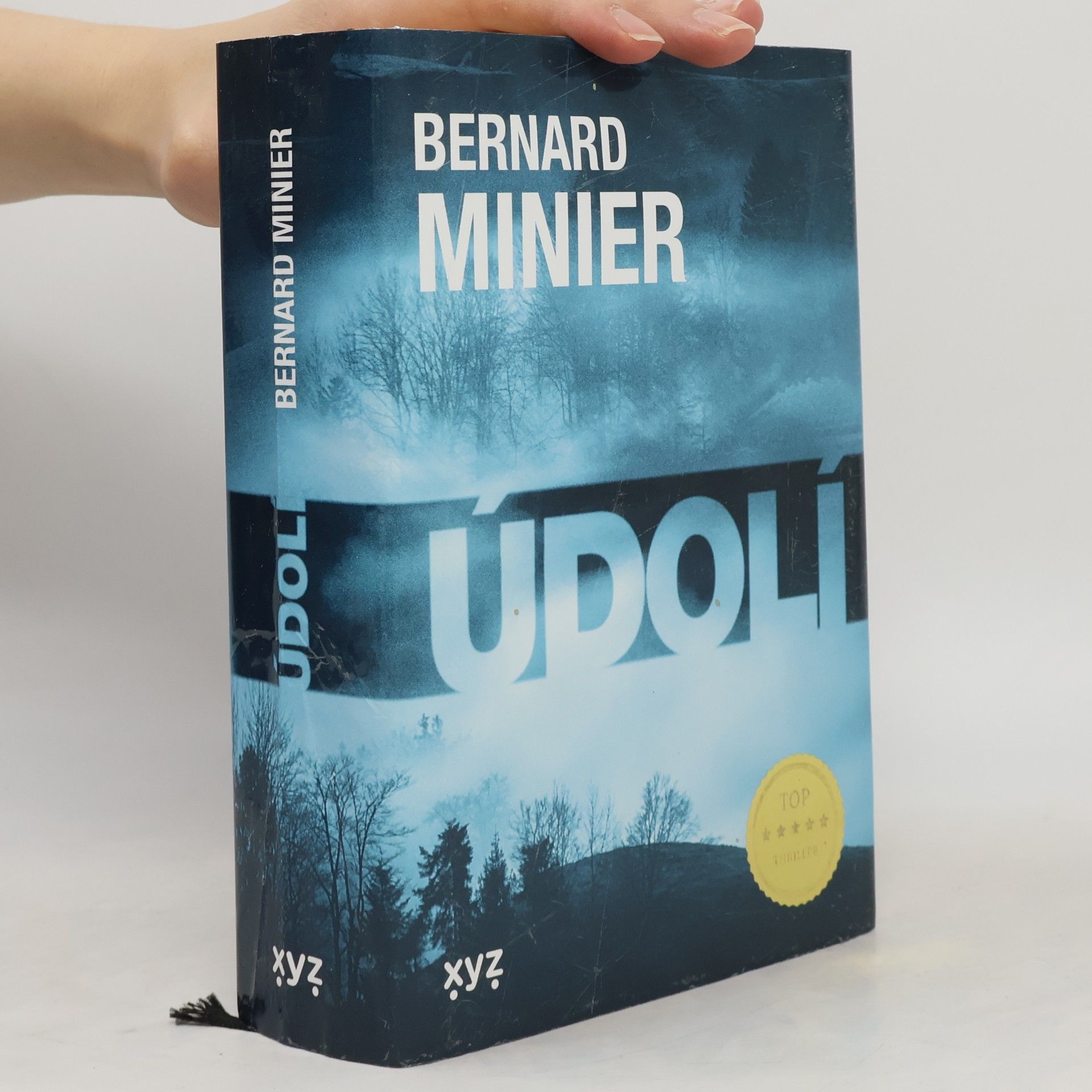 Bernard Minier Údolí