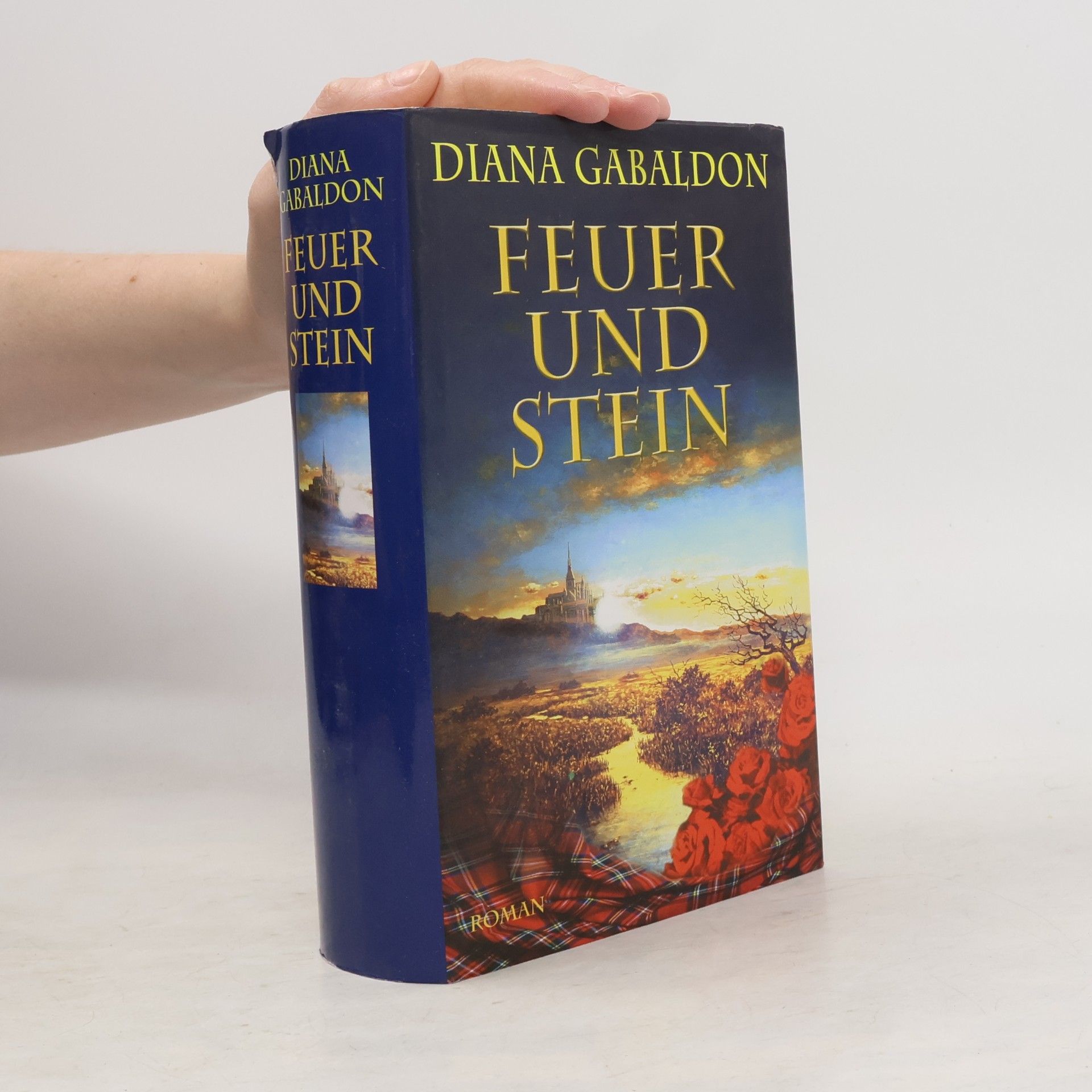 Diana Gabaldon Feuer und Stein