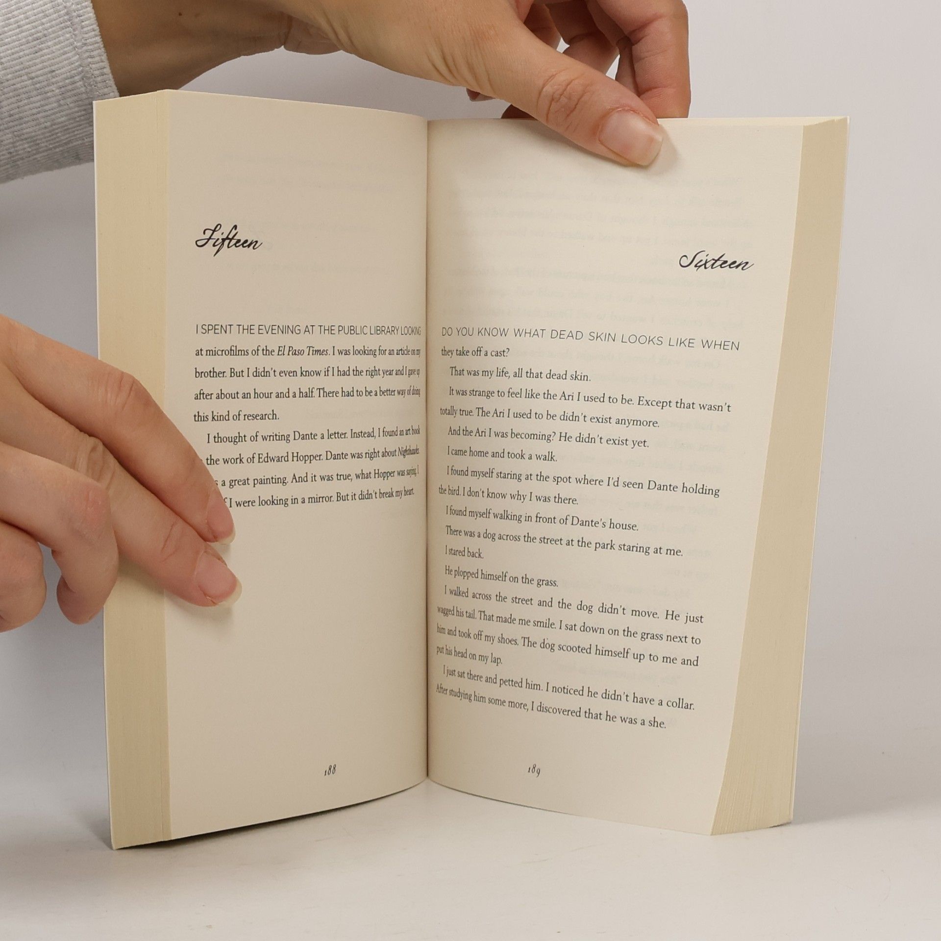 Benjamin Alire Sáenz Aristotle and Dante discover the secrets of the universe