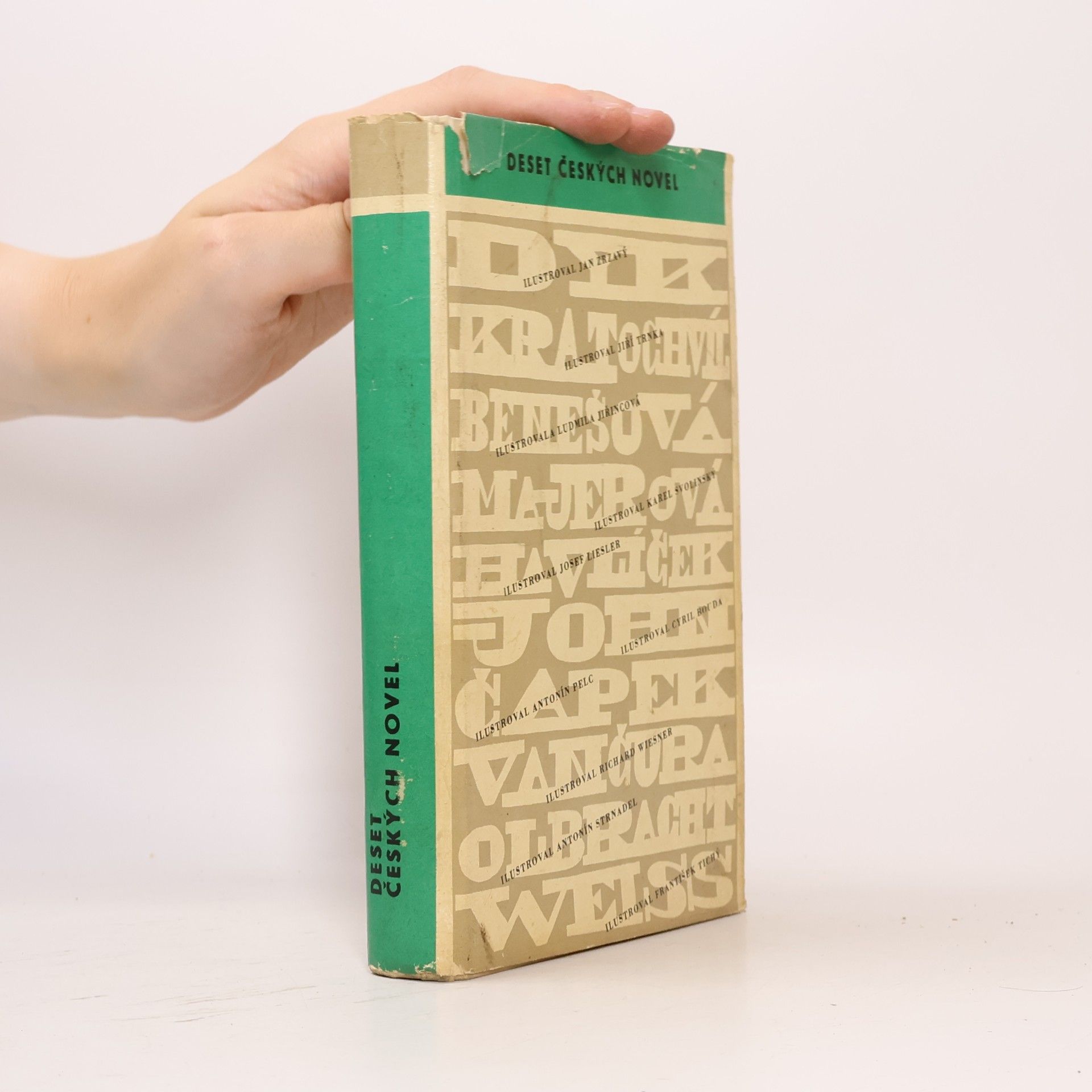 Autorenkollektiv Deset českých novel