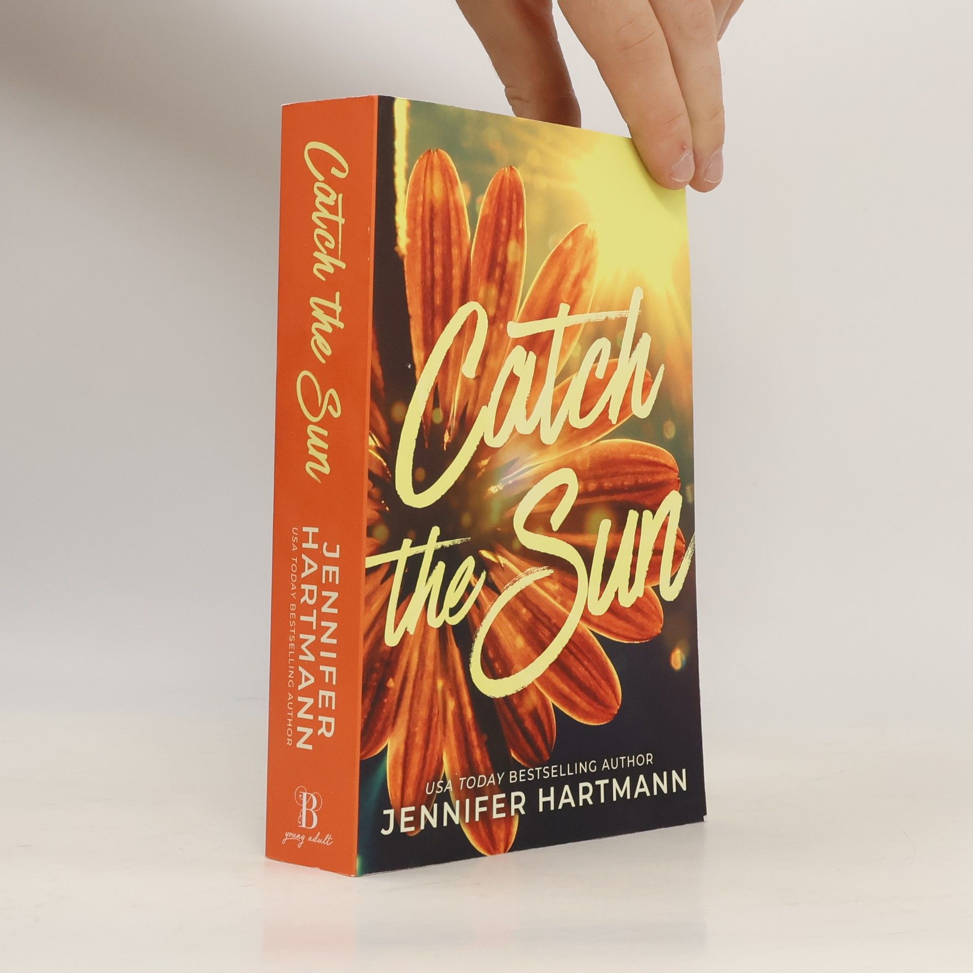 Jennifer Hartmann Catch the Sun