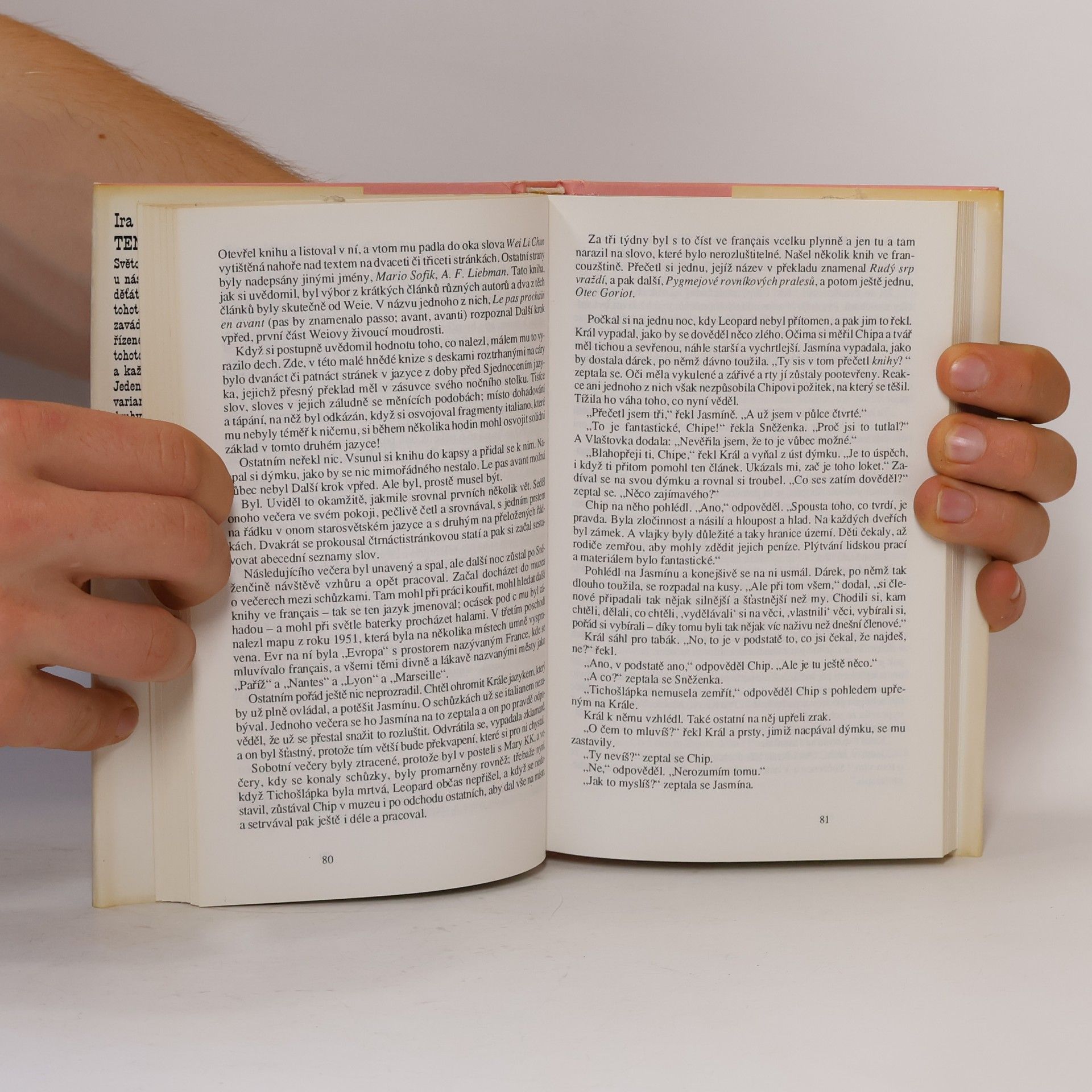 Ira Levin Ten báječný den