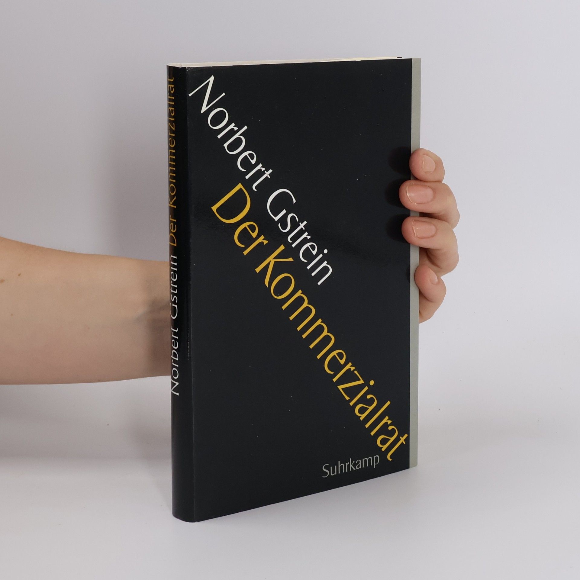 Norbert Gstrein Der Kommerzialrat