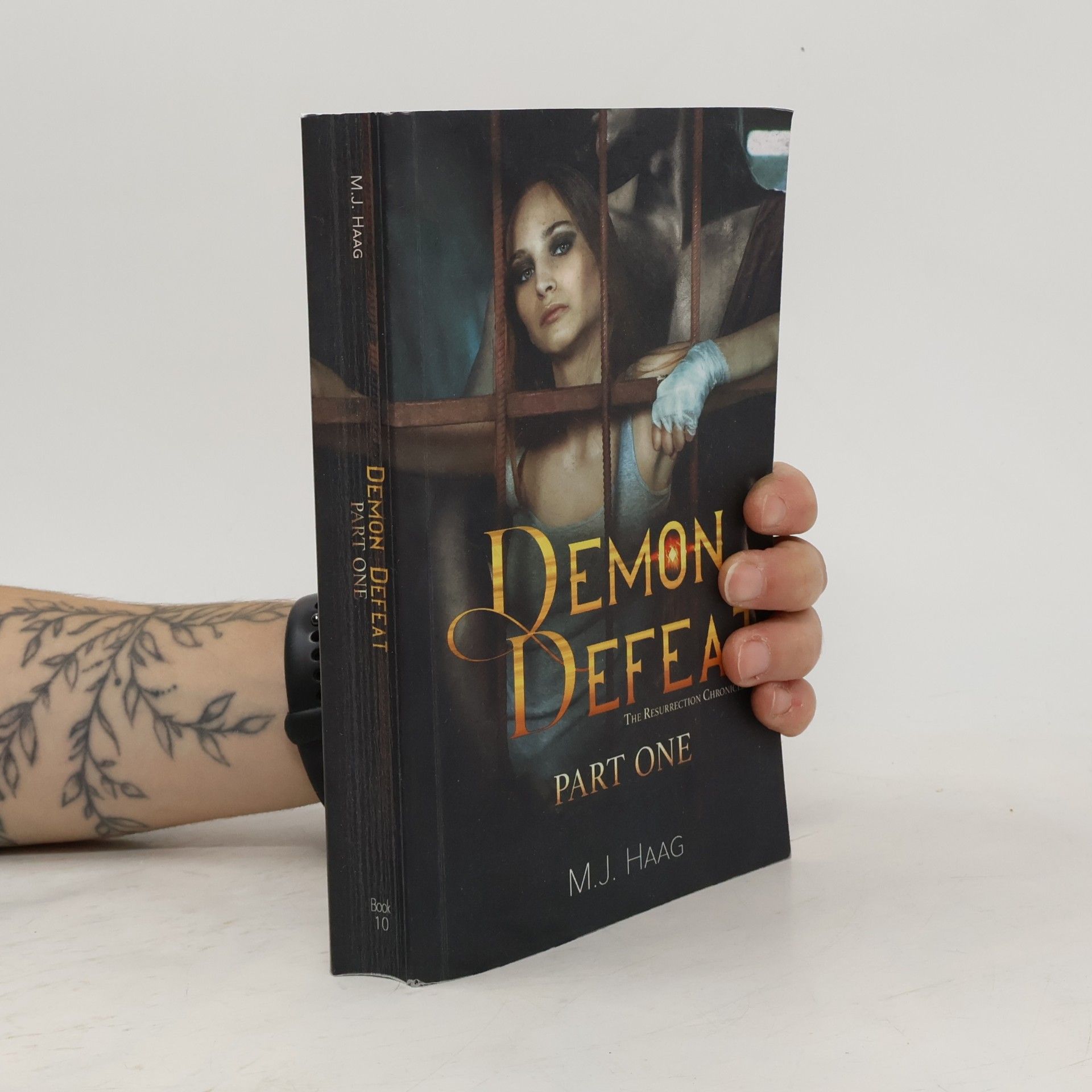 The Resurrection Chronicles - 10: Demon Defeat