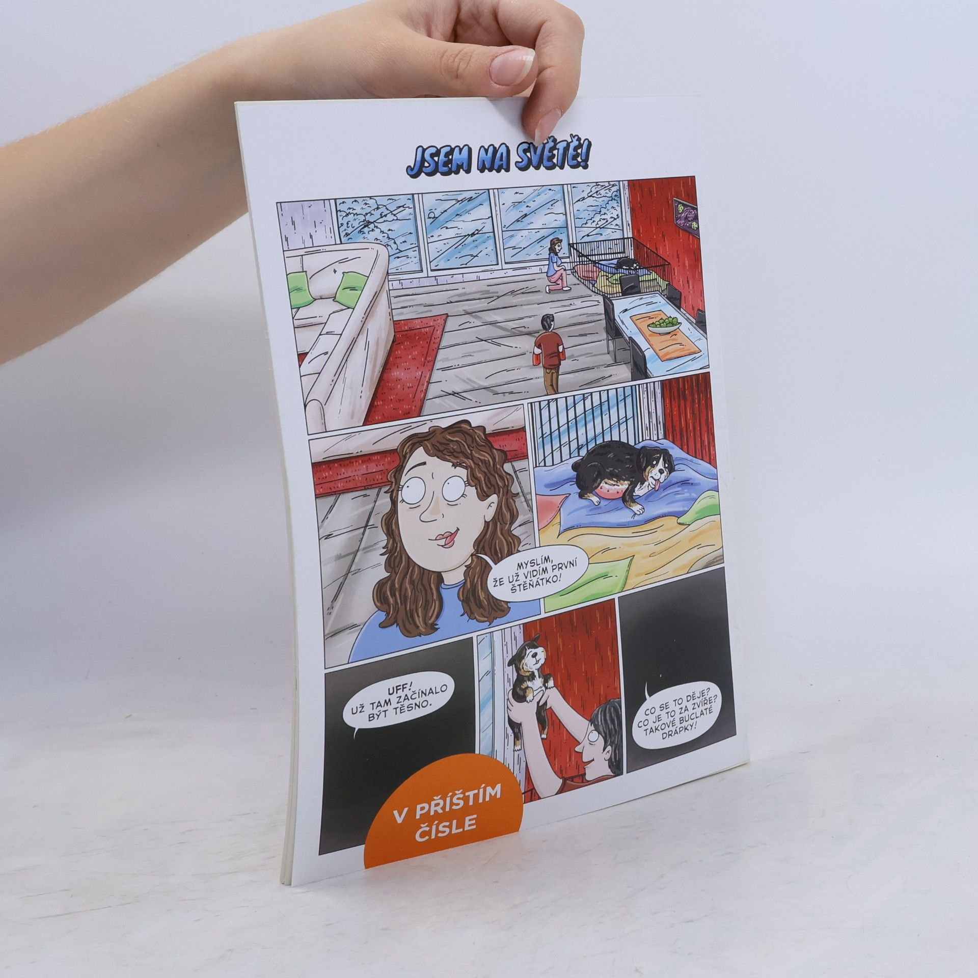 Jiří Král Jirka: komiks Jirky Krále 30