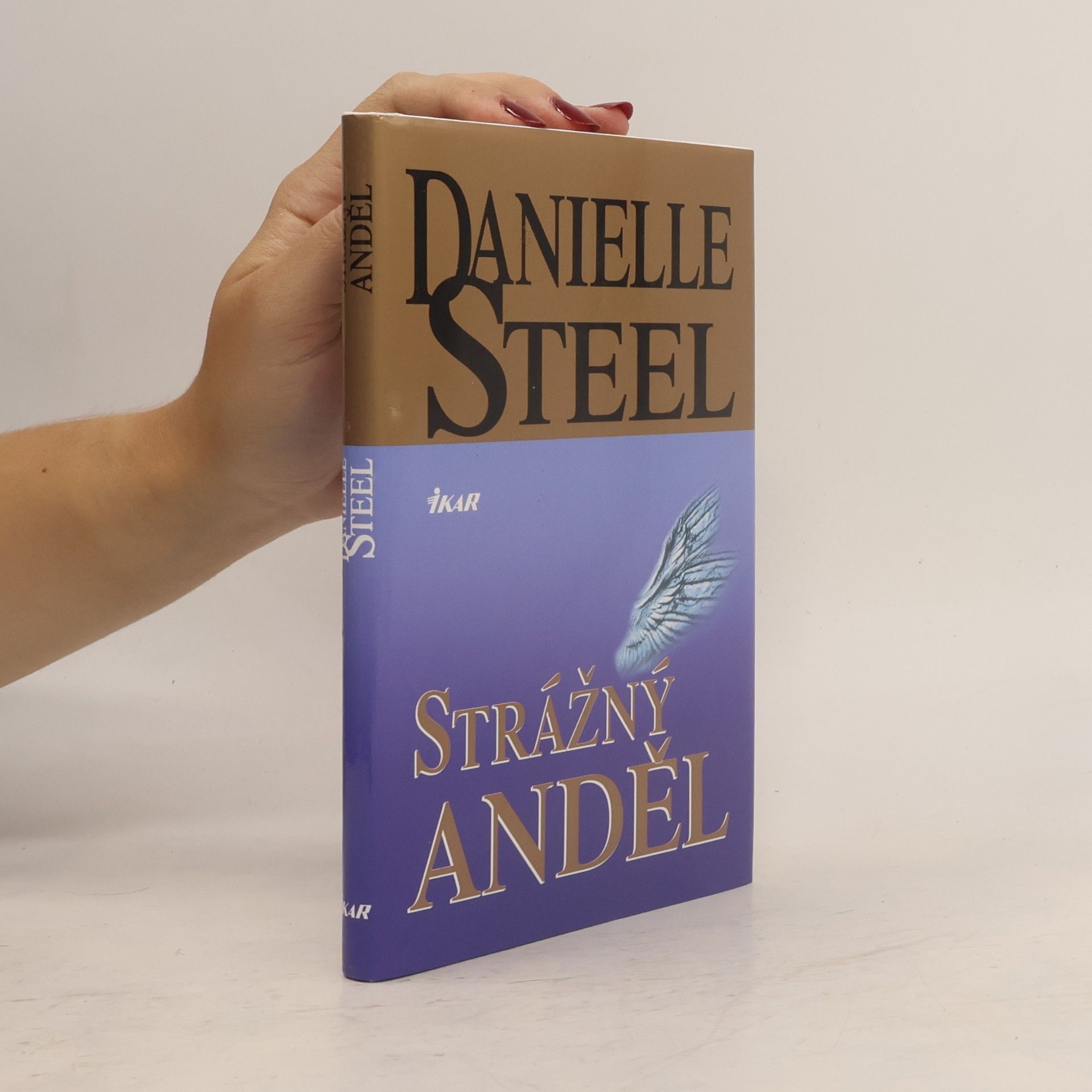 Danielle Steel Strážný anděl
