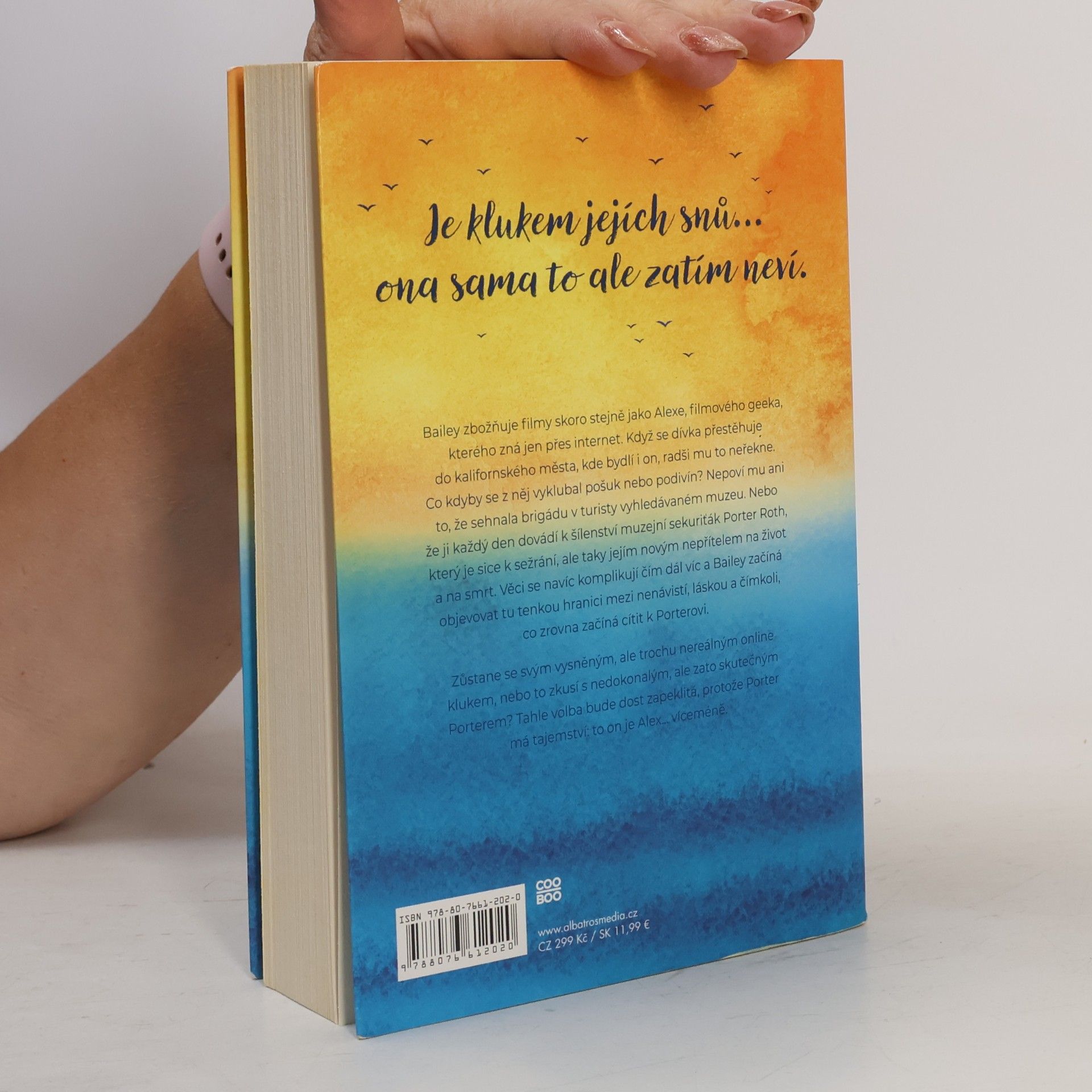Jenn Bennett Na jedné vlně